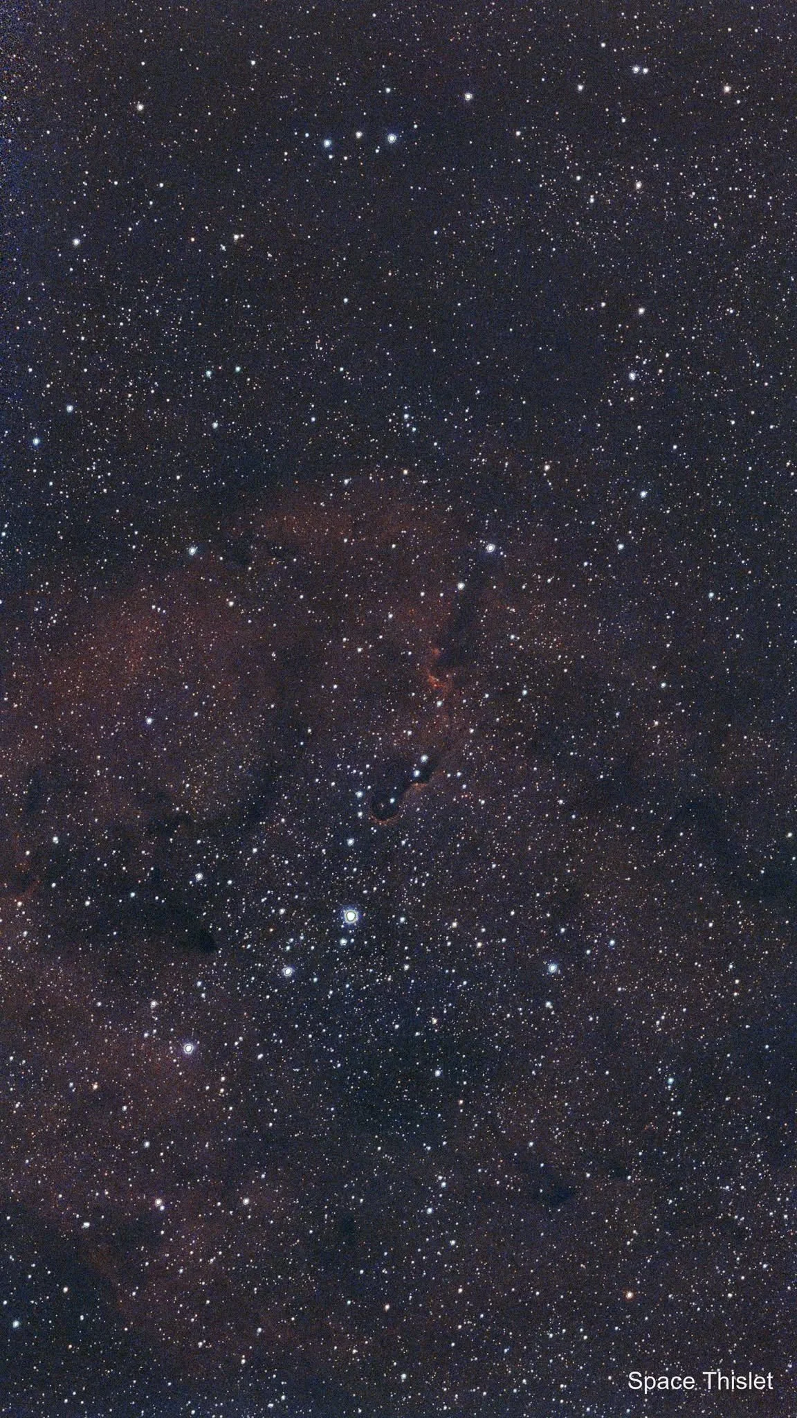 Elephants Trunk Nebula - Chloe Hutton