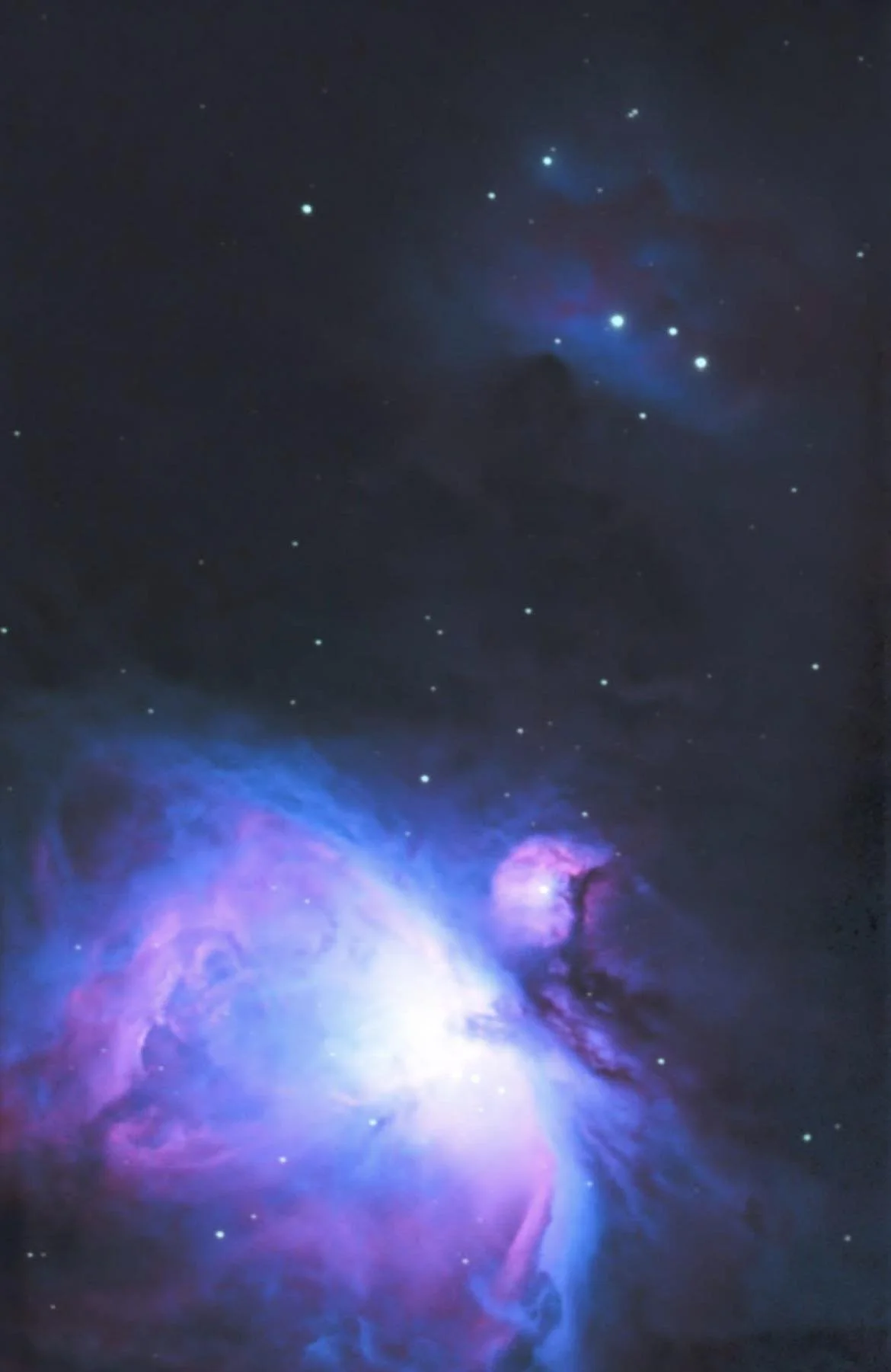 Orion Nebula - Chloe Hutton