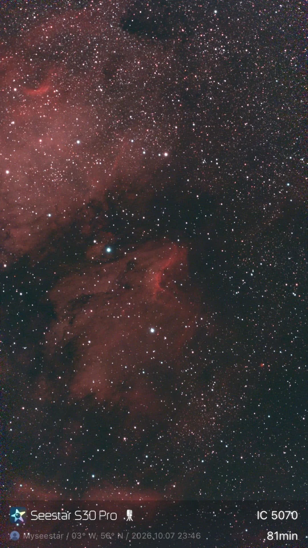 Pelican Nebula - Helen MacDonald