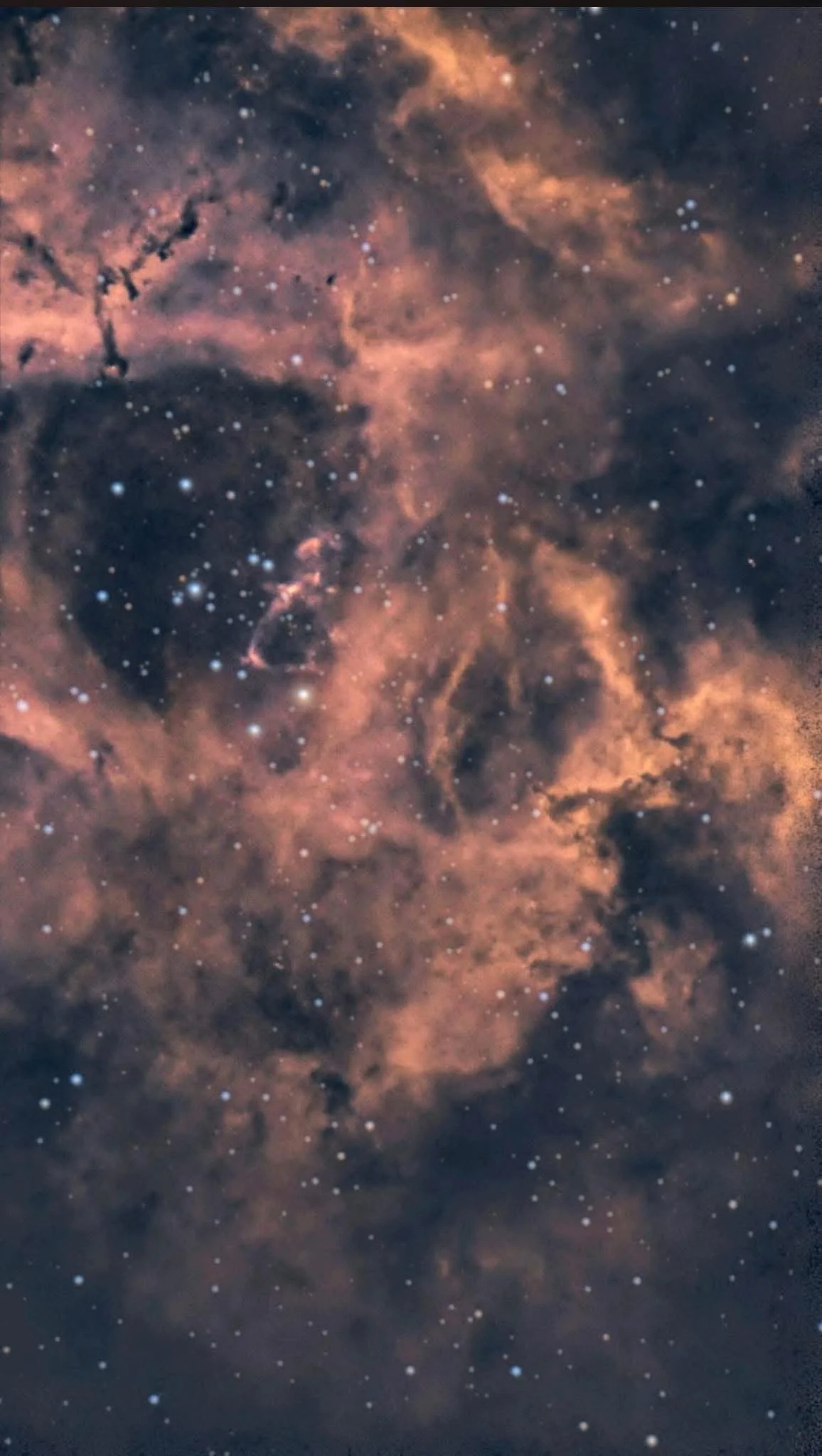 Rosette Nebula - Chloe Hutton