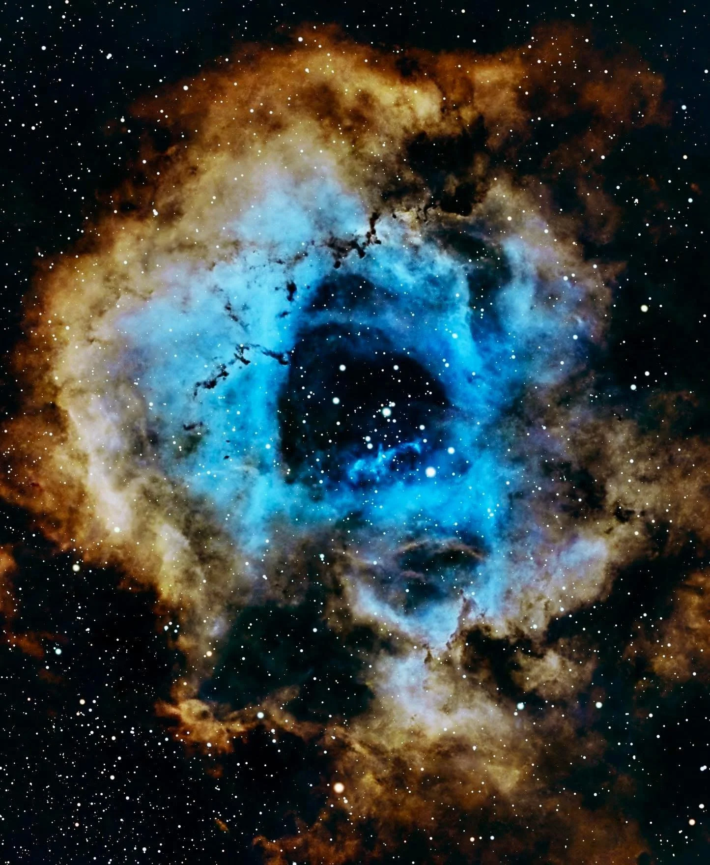 The Rosette Nebula - Nicola Hughes