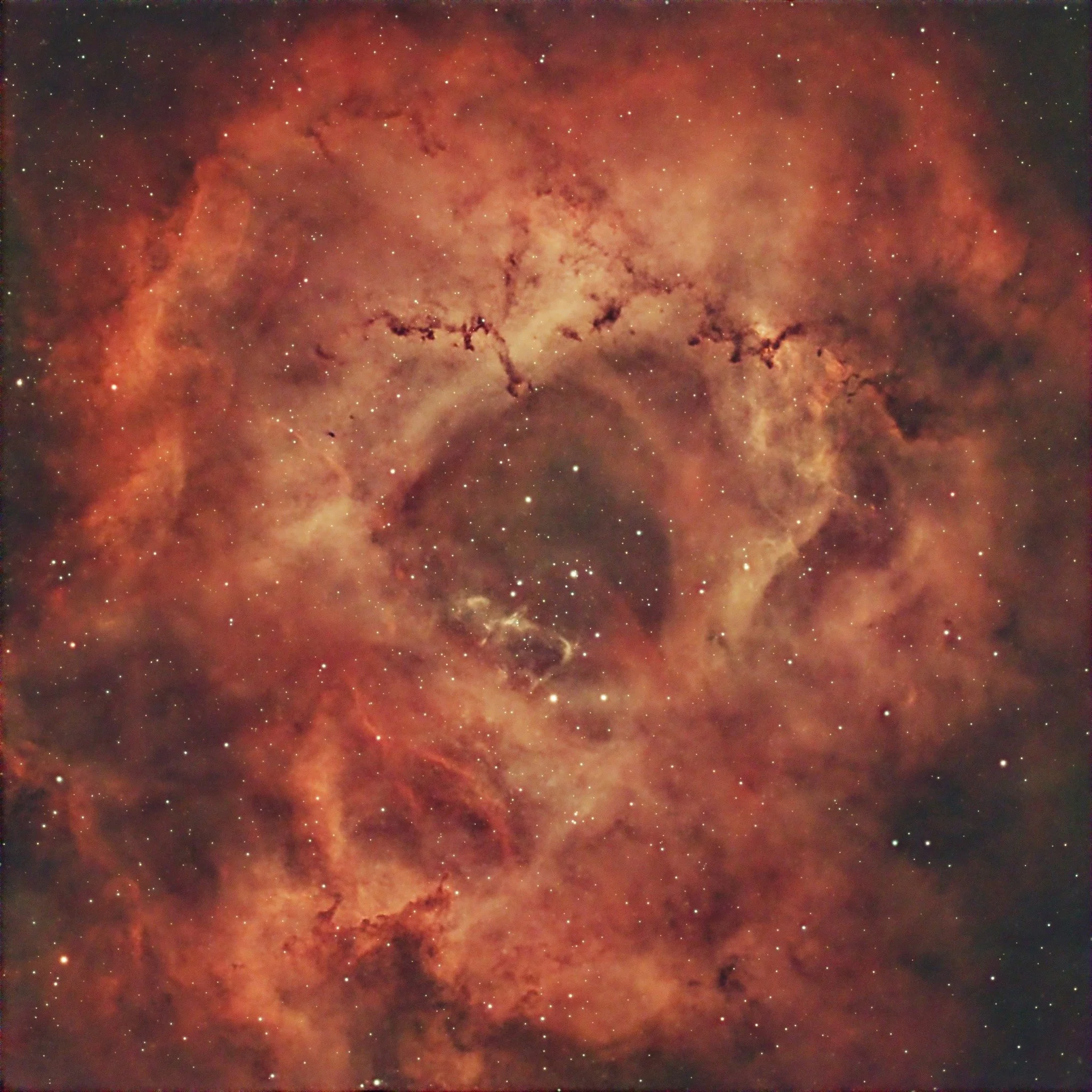 Rosette Nebula - Paul Norman