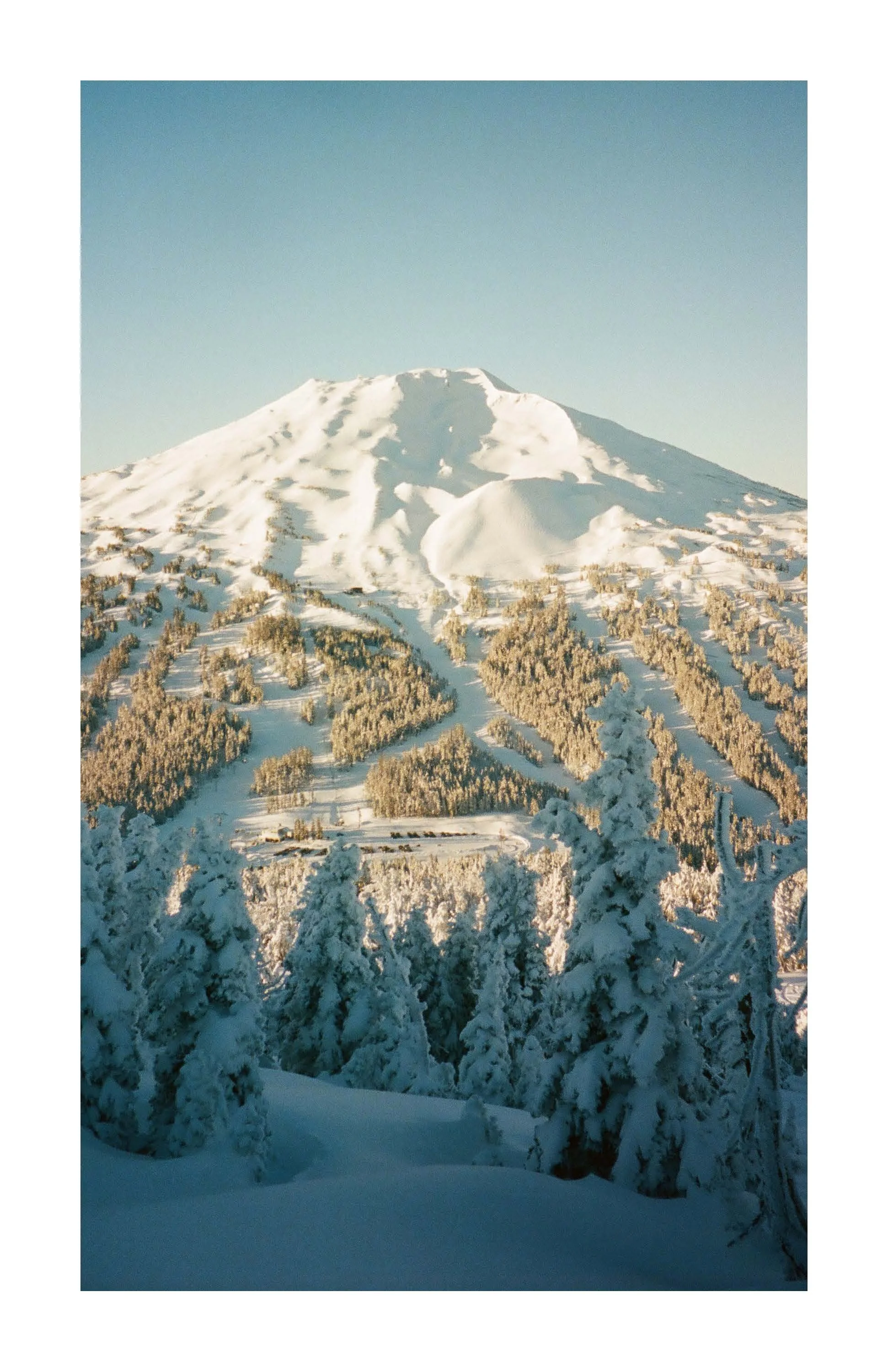 Winter zine_Page_43.jpg