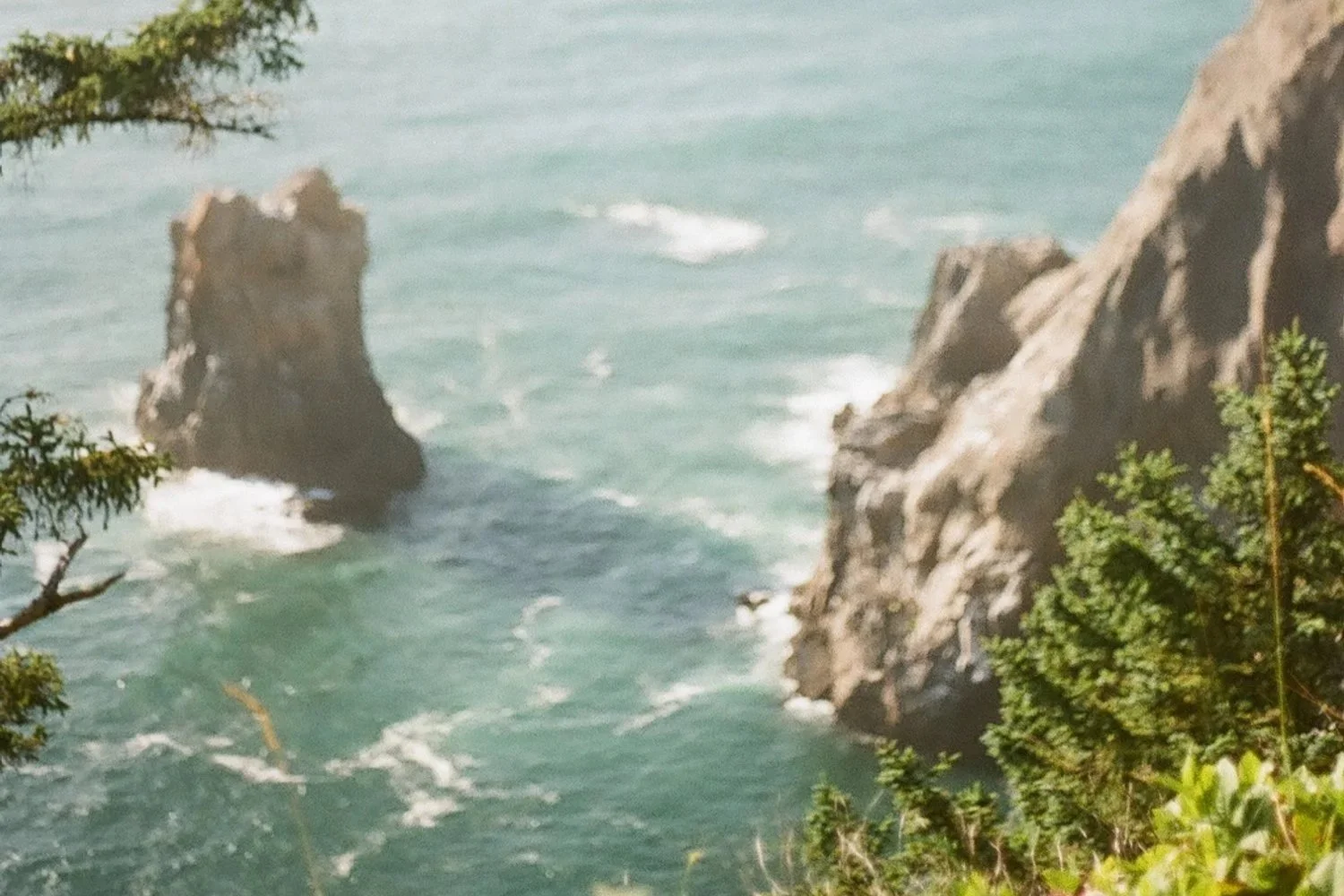 Amalgamated Issue 1 / summer photo