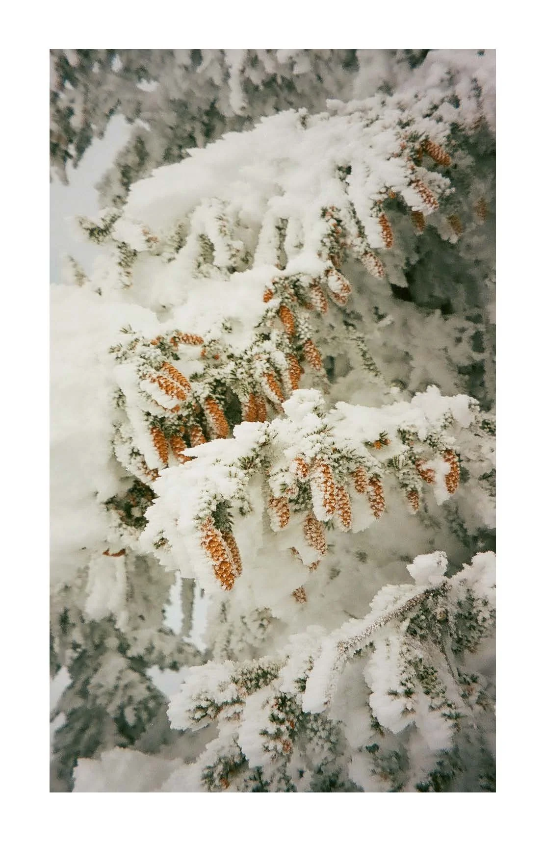 Winter zine_Page_38.jpg