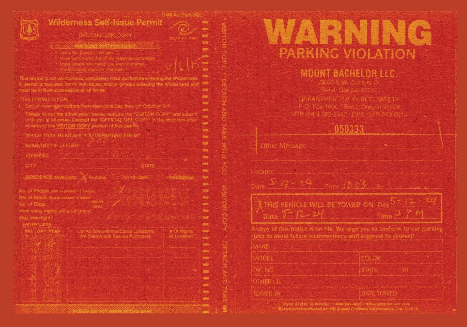 amalgamated issue 2 - final spreads_Page_03.jpg