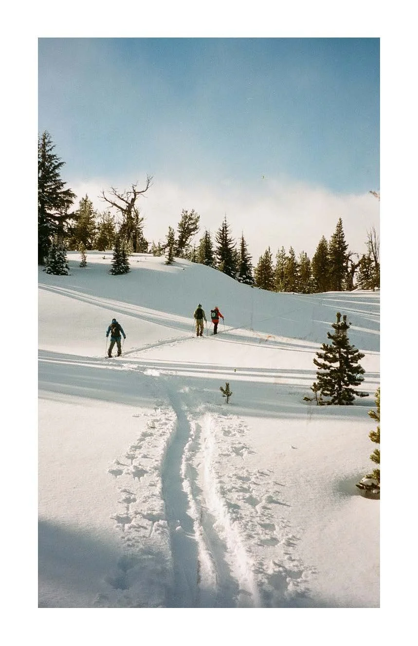 Winter zine_Page_02.jpg