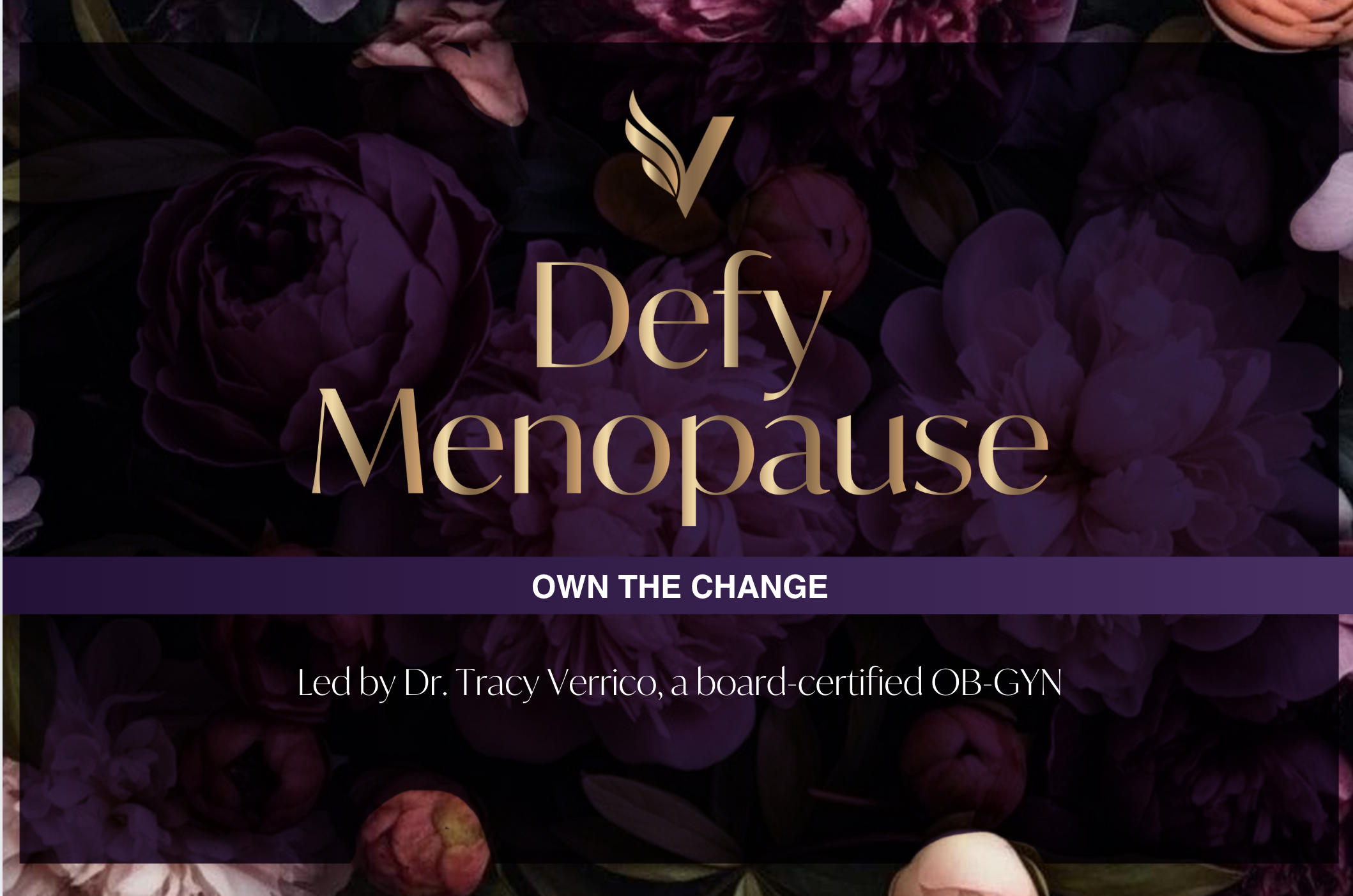 Screenshot 2025-08-29 at 4.02.56 PM.png