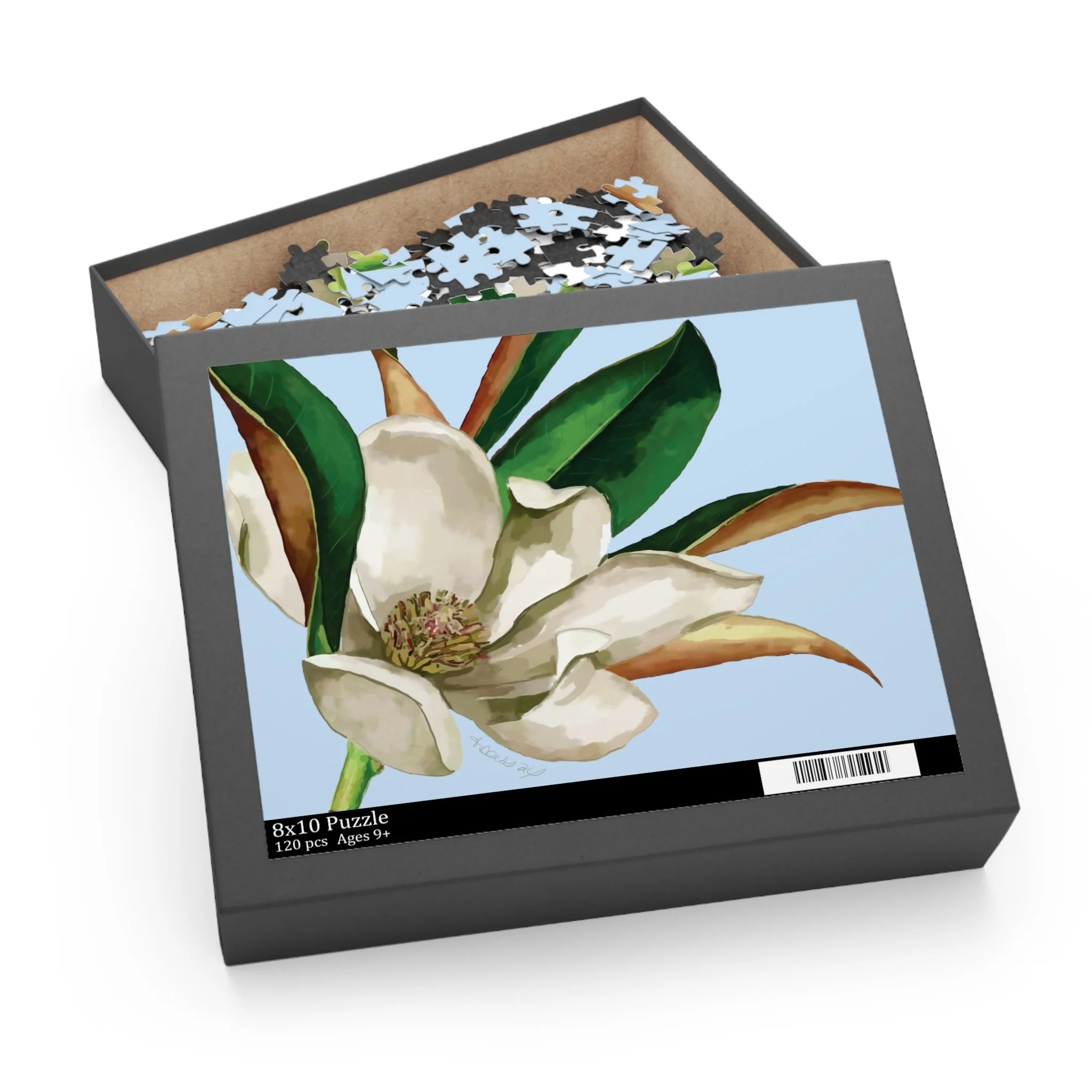 0e5e809ff8fef52f55c2a3f4e9c5d720