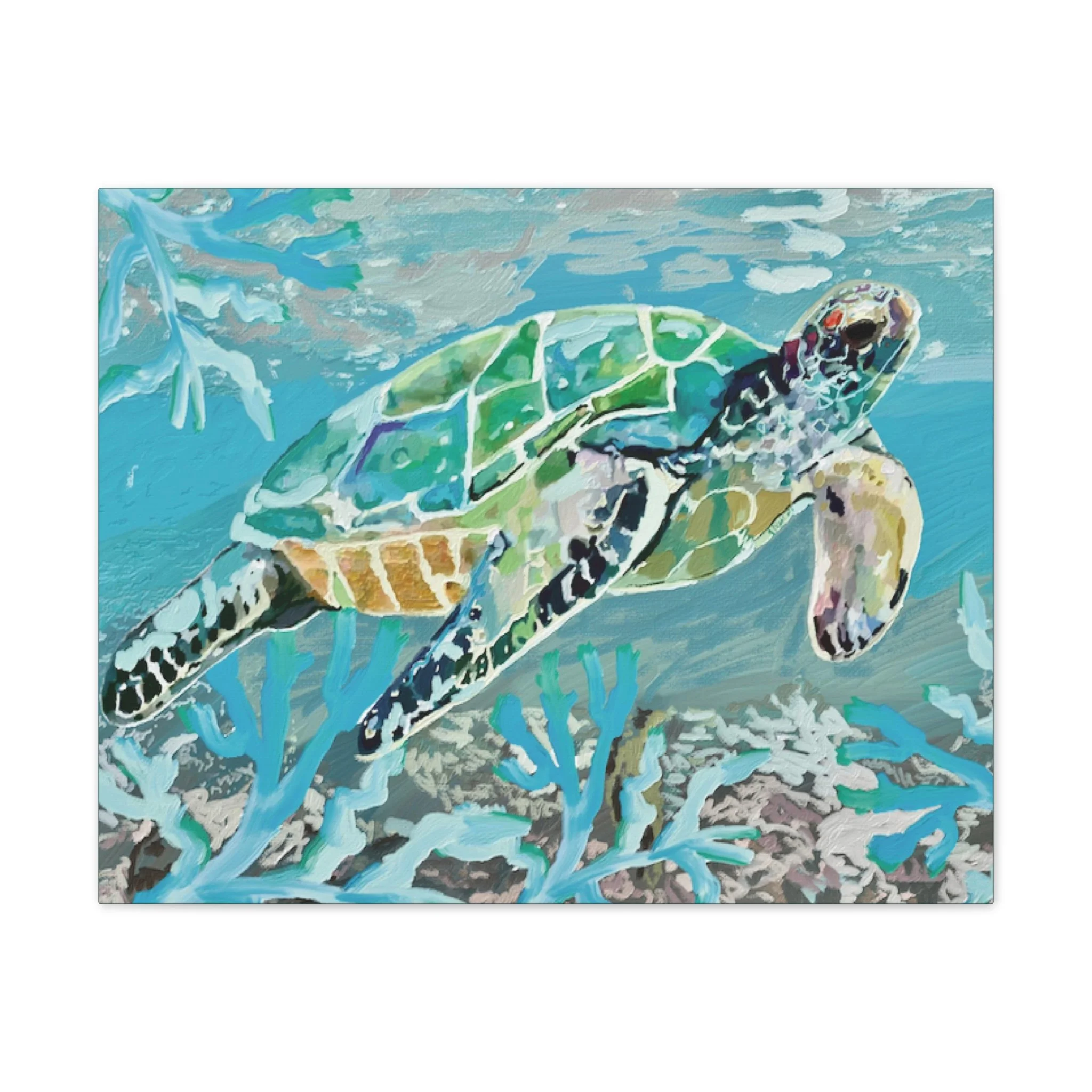 OKI Sea Turtle Stretched Canvas Print — Horizontal Pine Frame Wall Art