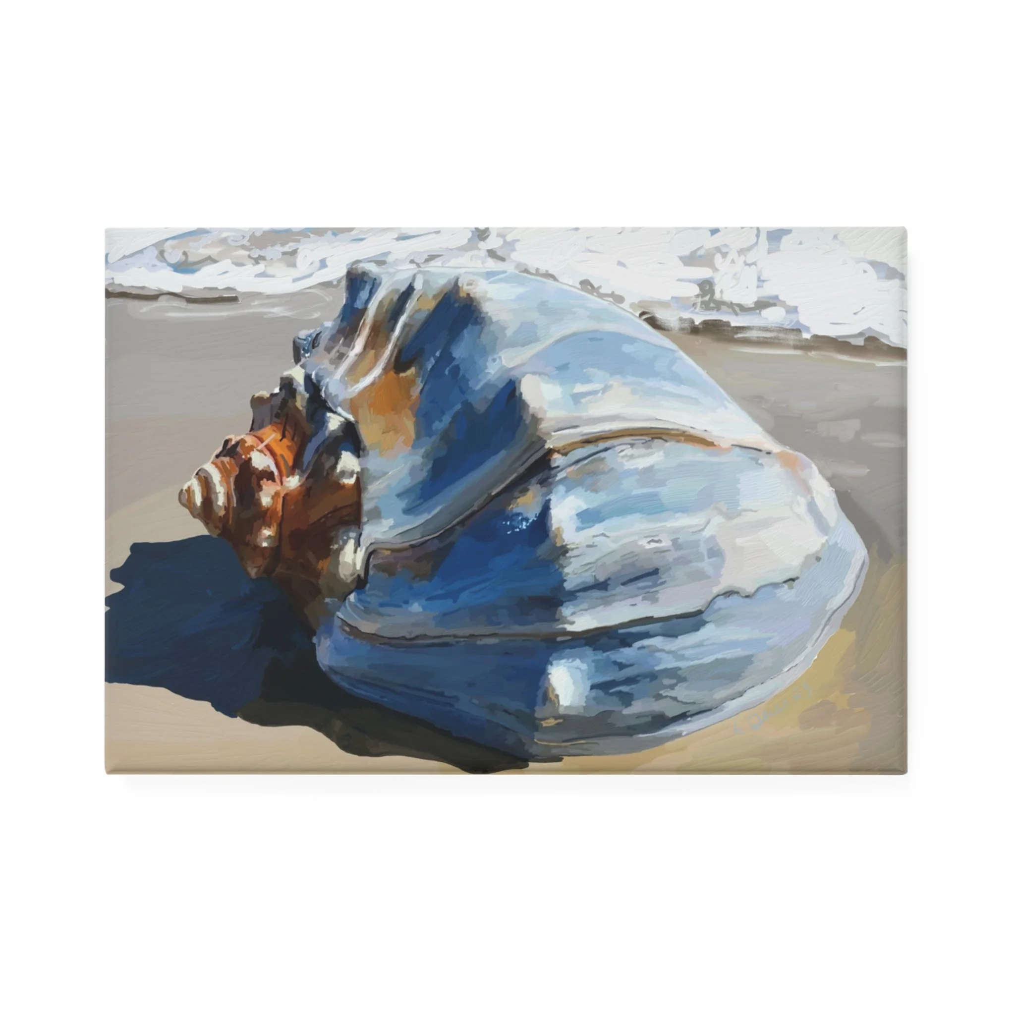 Sea Shell Aluminum Magnet, Rectangle-Single or Set