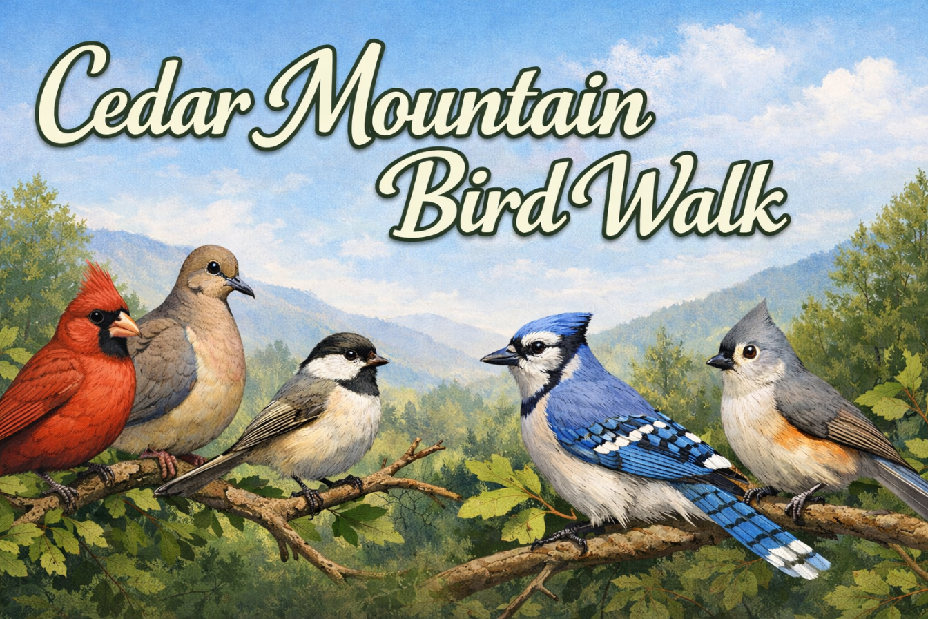 Cedar Mountain Bird Walk