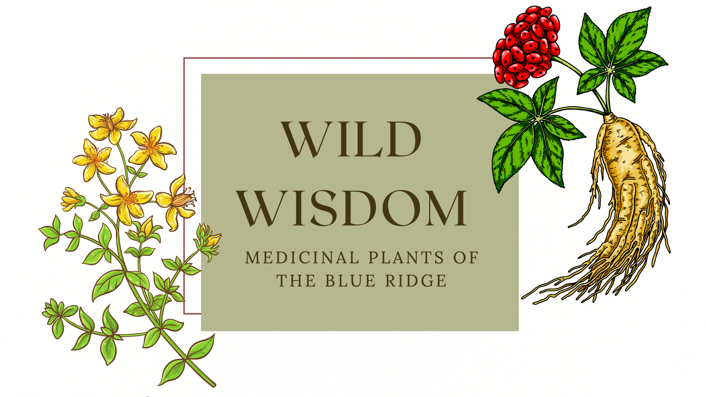 Medicinal Plants of the Blue Ridge:                   The Wild Wisdom that Surrounds Us