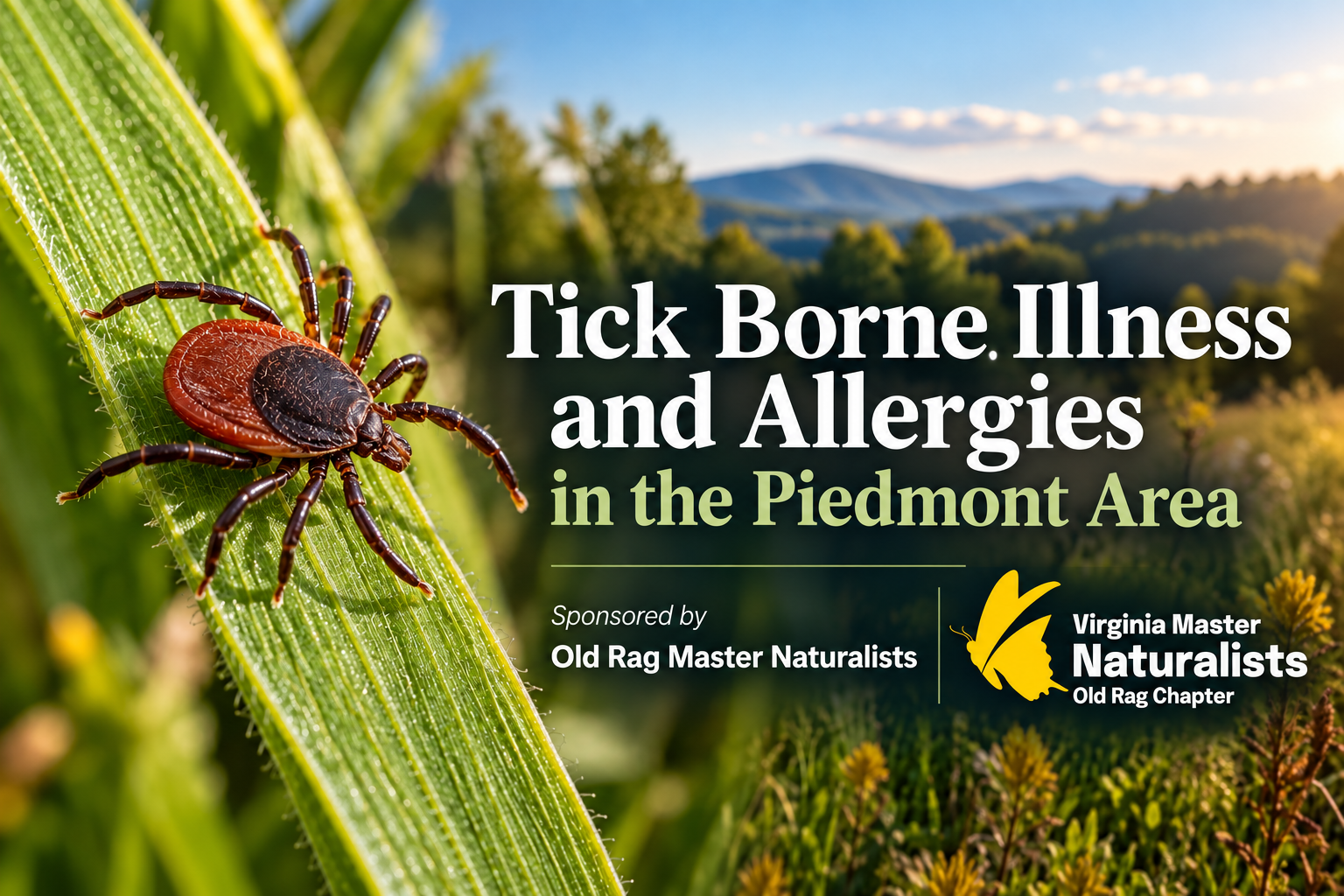 Tick Borne Illness and Allergies in the Piedmont Area