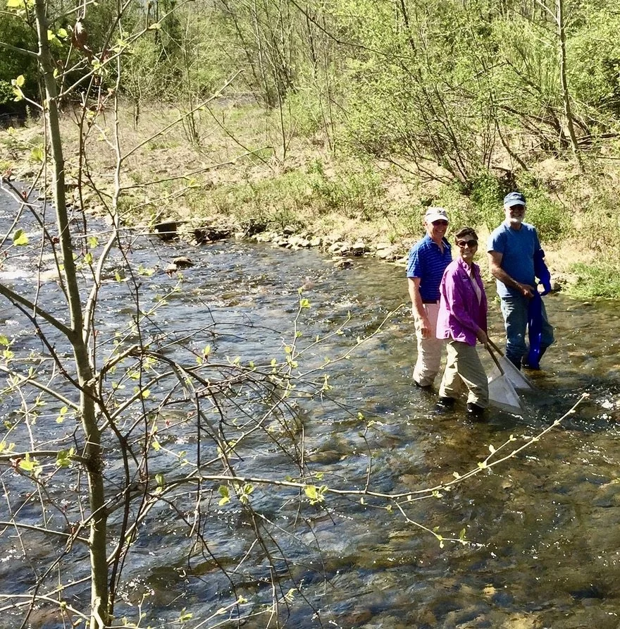 Three people standing in a shallow creek in a wooded area, involved in a water conservation or environmental activity.