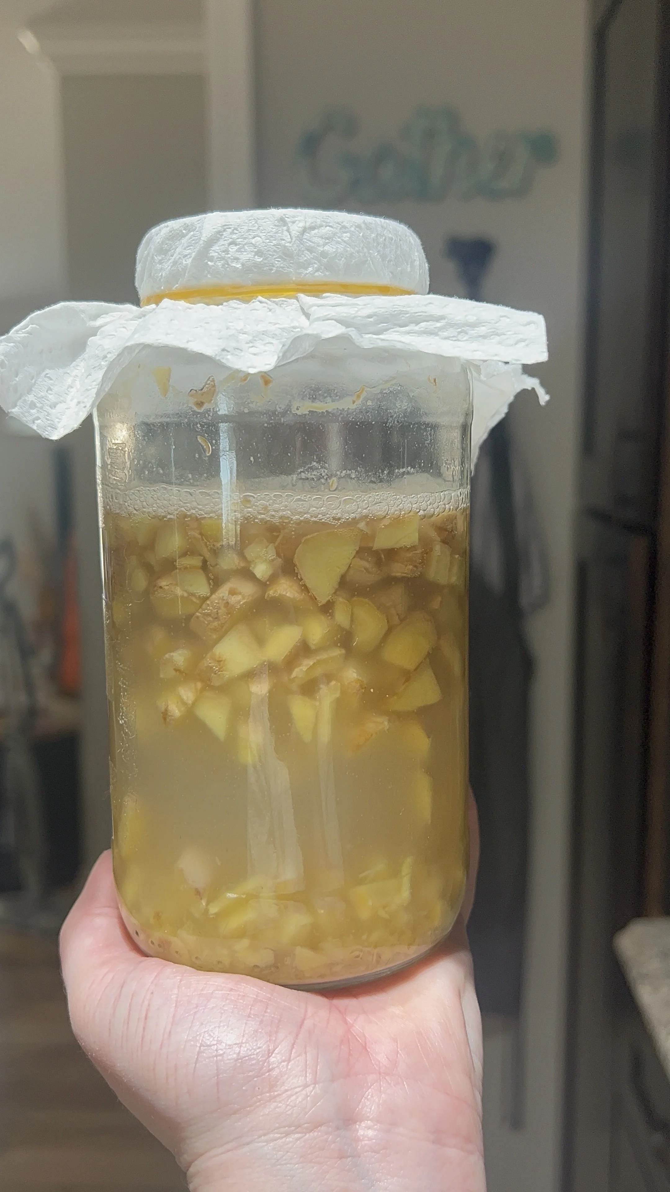 How to make a ginger bug