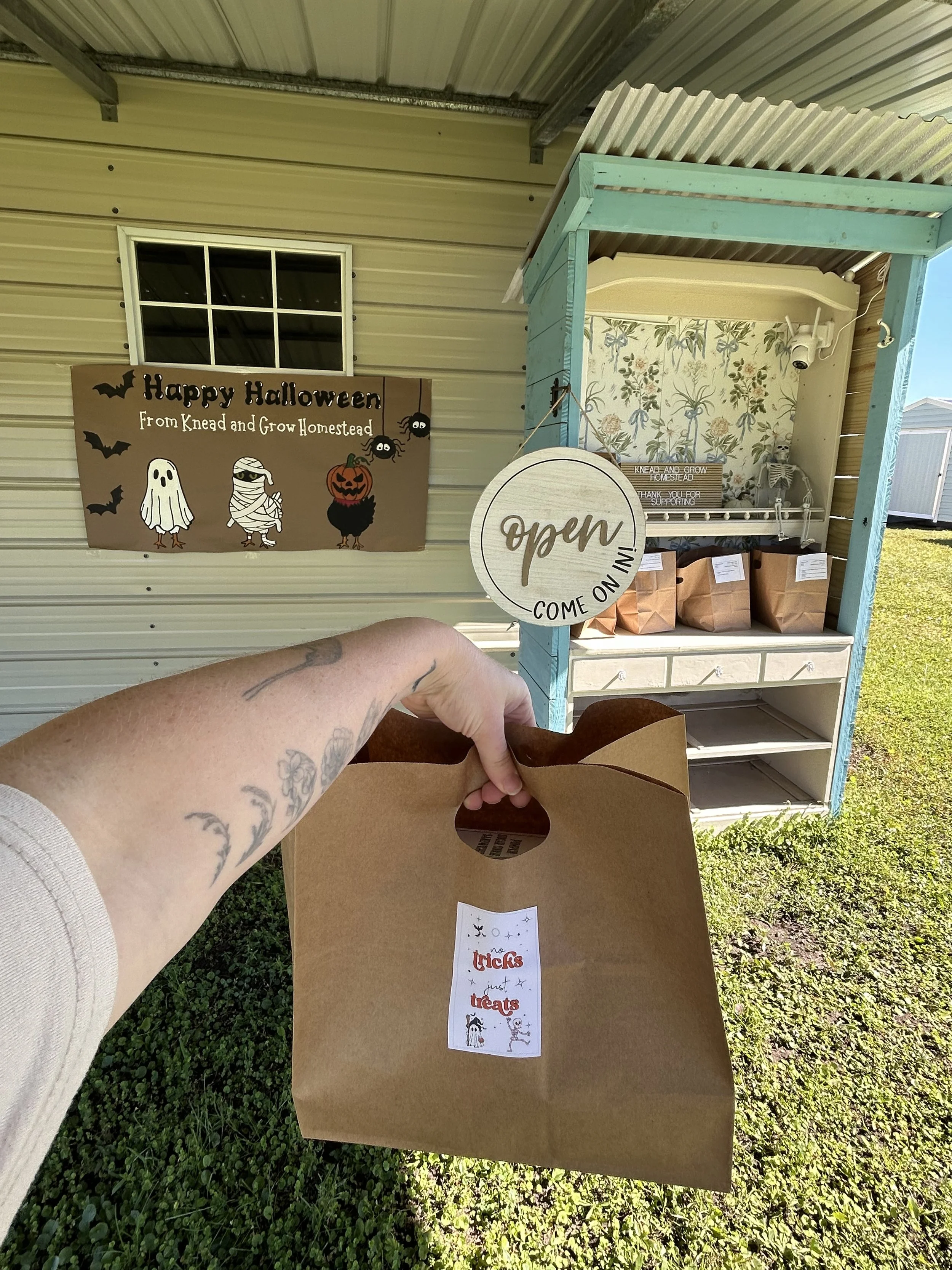 Knead and Grow Homestead and Cottage bakery farm stand in Saint Augustine, FL. Local farm stand sells bread and baked goods with mindful ingredients located at St. Augustine Handi House on SR 16