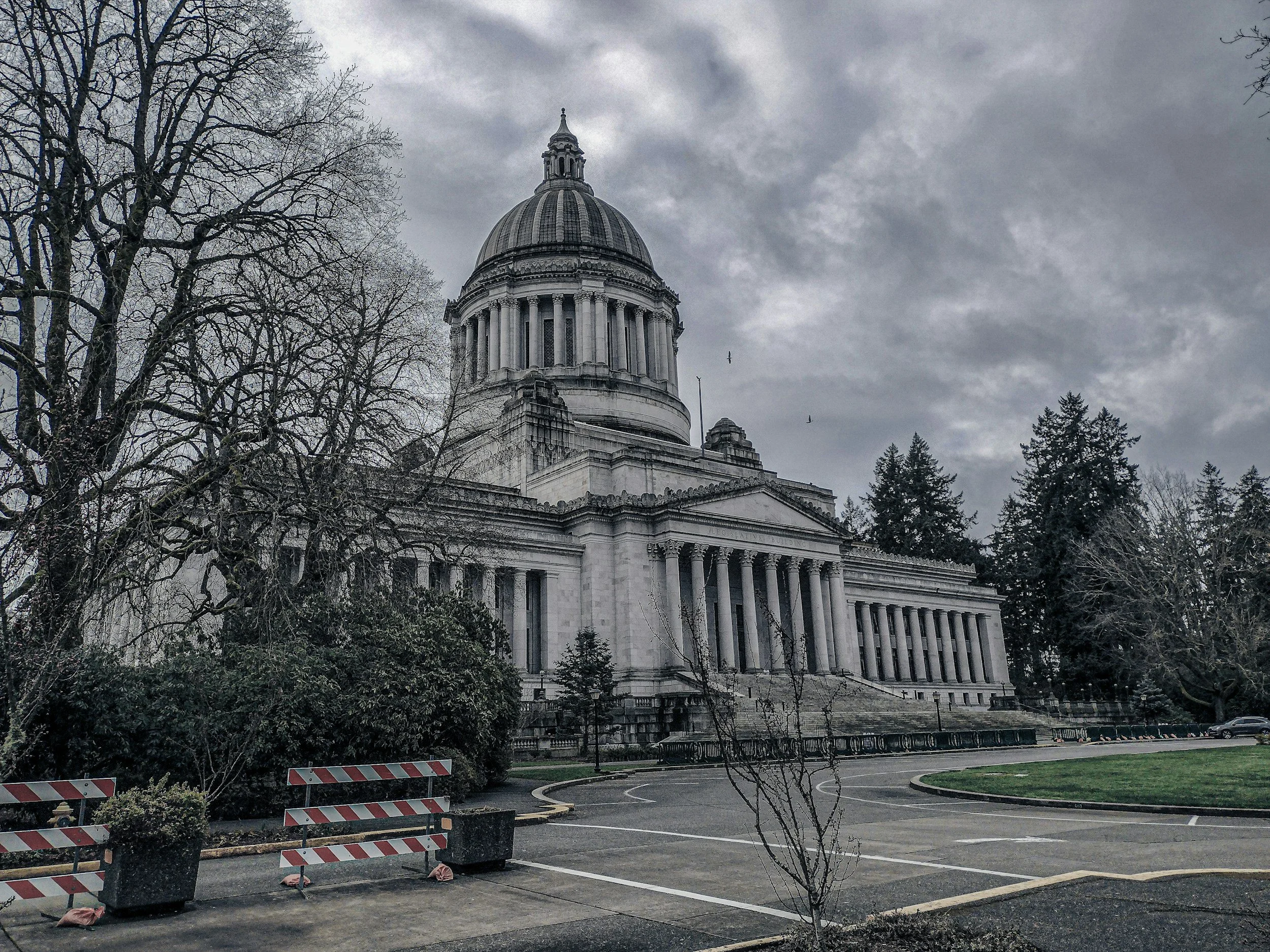 View of a large, historic white capitol building with a dome, surrounded by leafless trees and pigeons flying in cloudy sky.