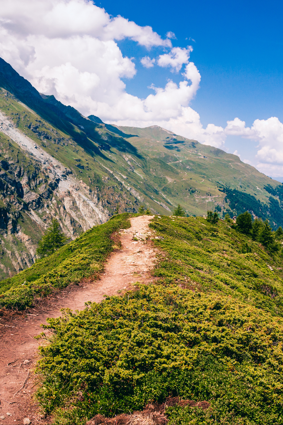 A mountain hiking trail symbolizes the weight loss journey with GLP-1 medicine.