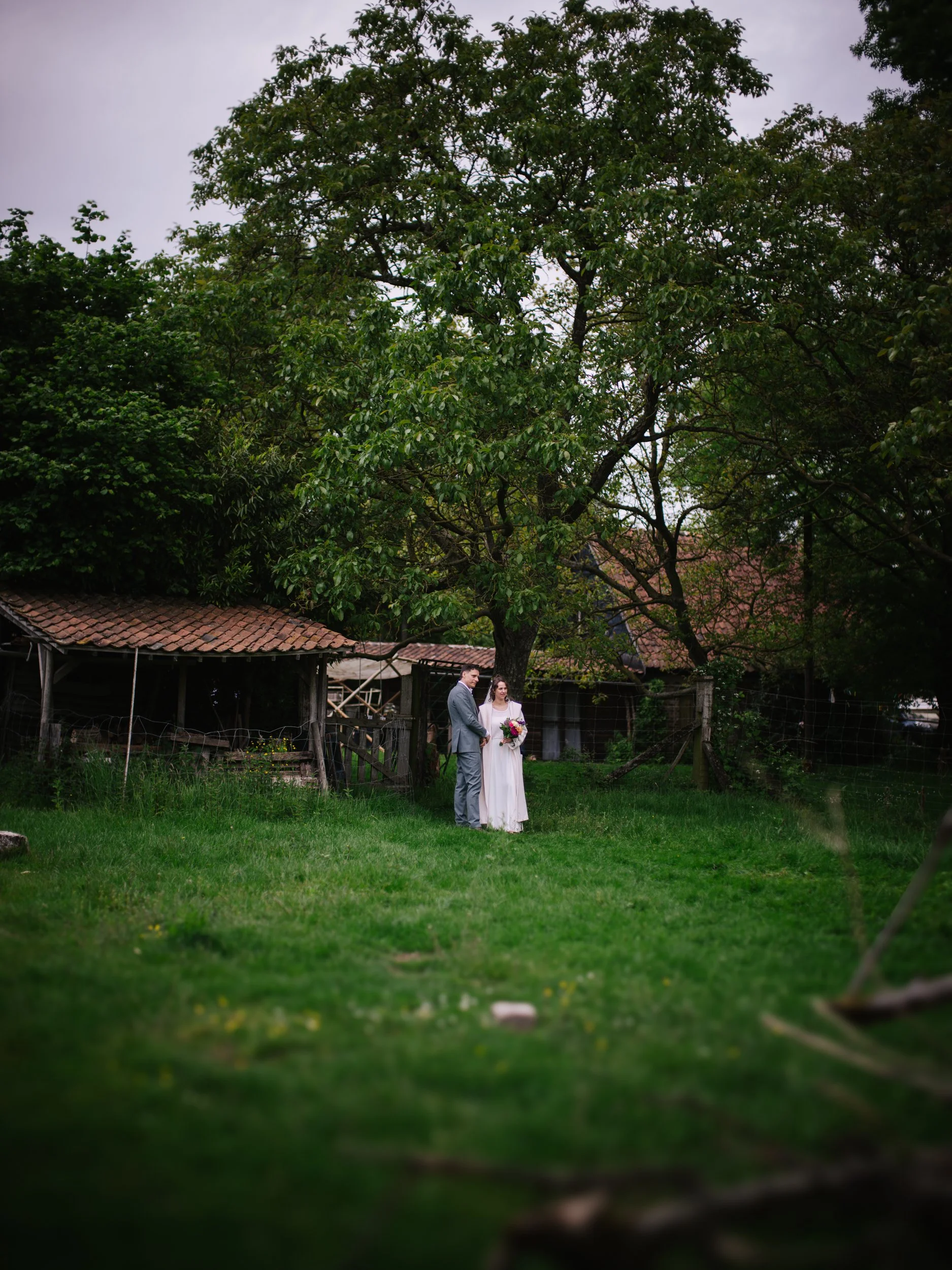 DSCF5180.jpg