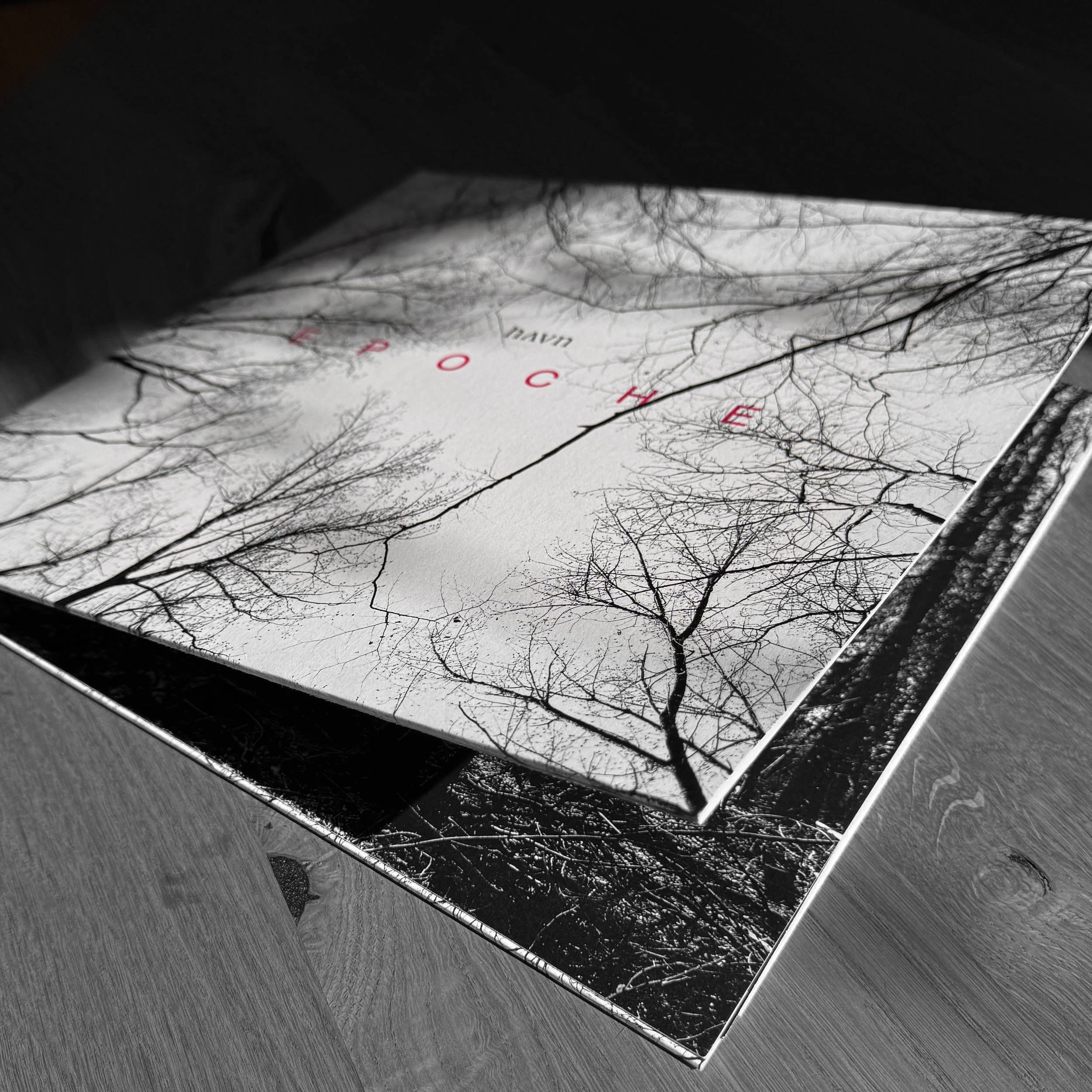 VINYL2.png (Kopie) (Kopie) (Kopie)