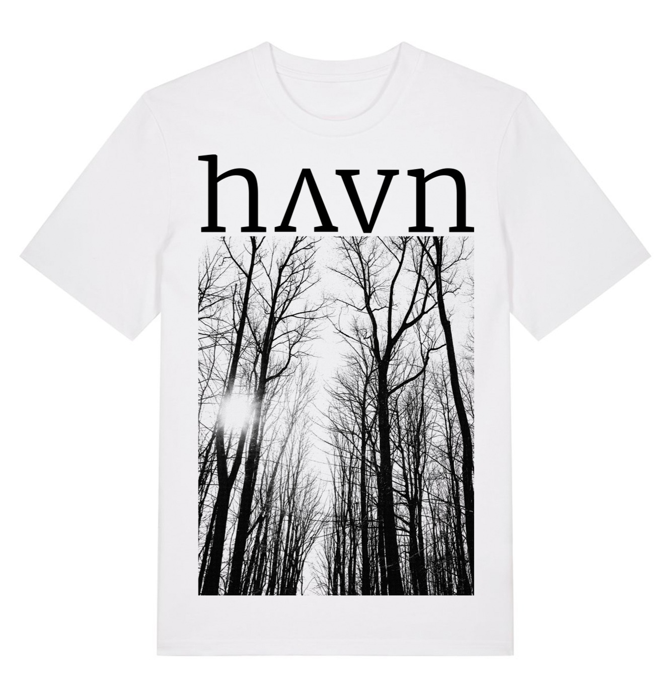 HAVN White.png