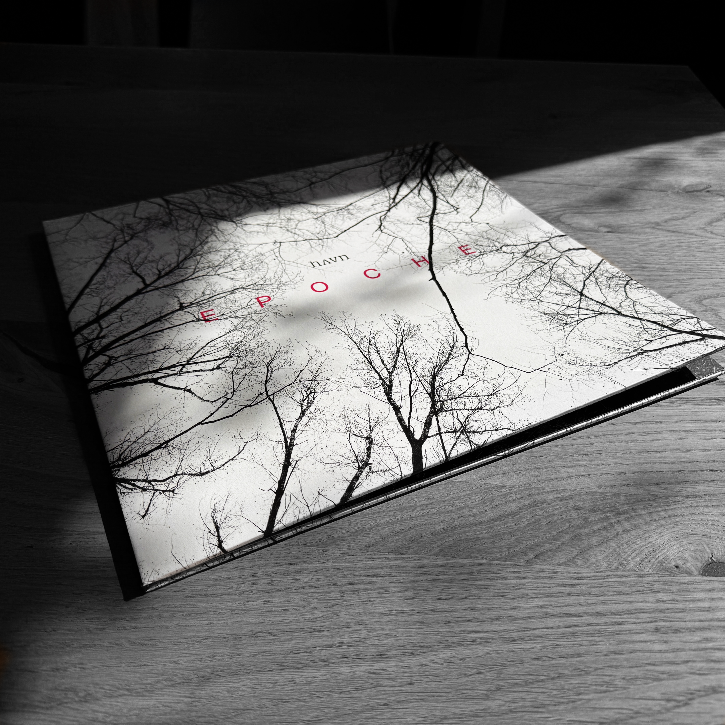 VINYL3.png (Kopie) (Kopie) (Kopie)