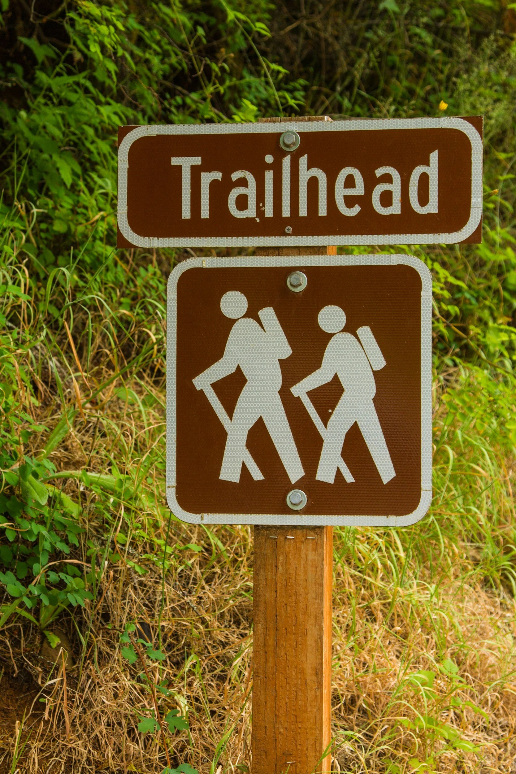 Trailhead sign with a symbol of hikers carrying backpacks on a wooden post, surrounded by green foliage.