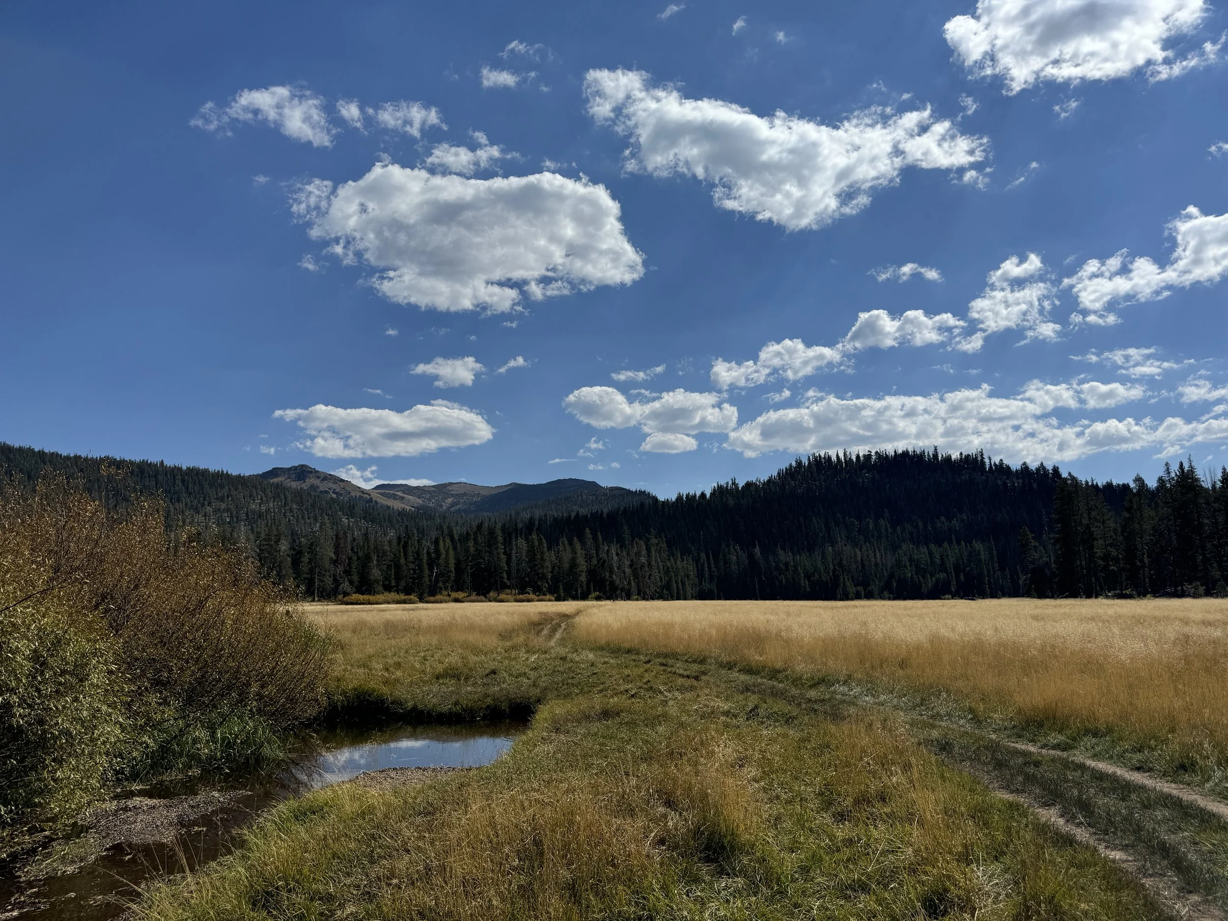 Scenic view of a grassy field with a small creek, surrounded by trees and distant mountains under a blue sky with scattered white clouds.