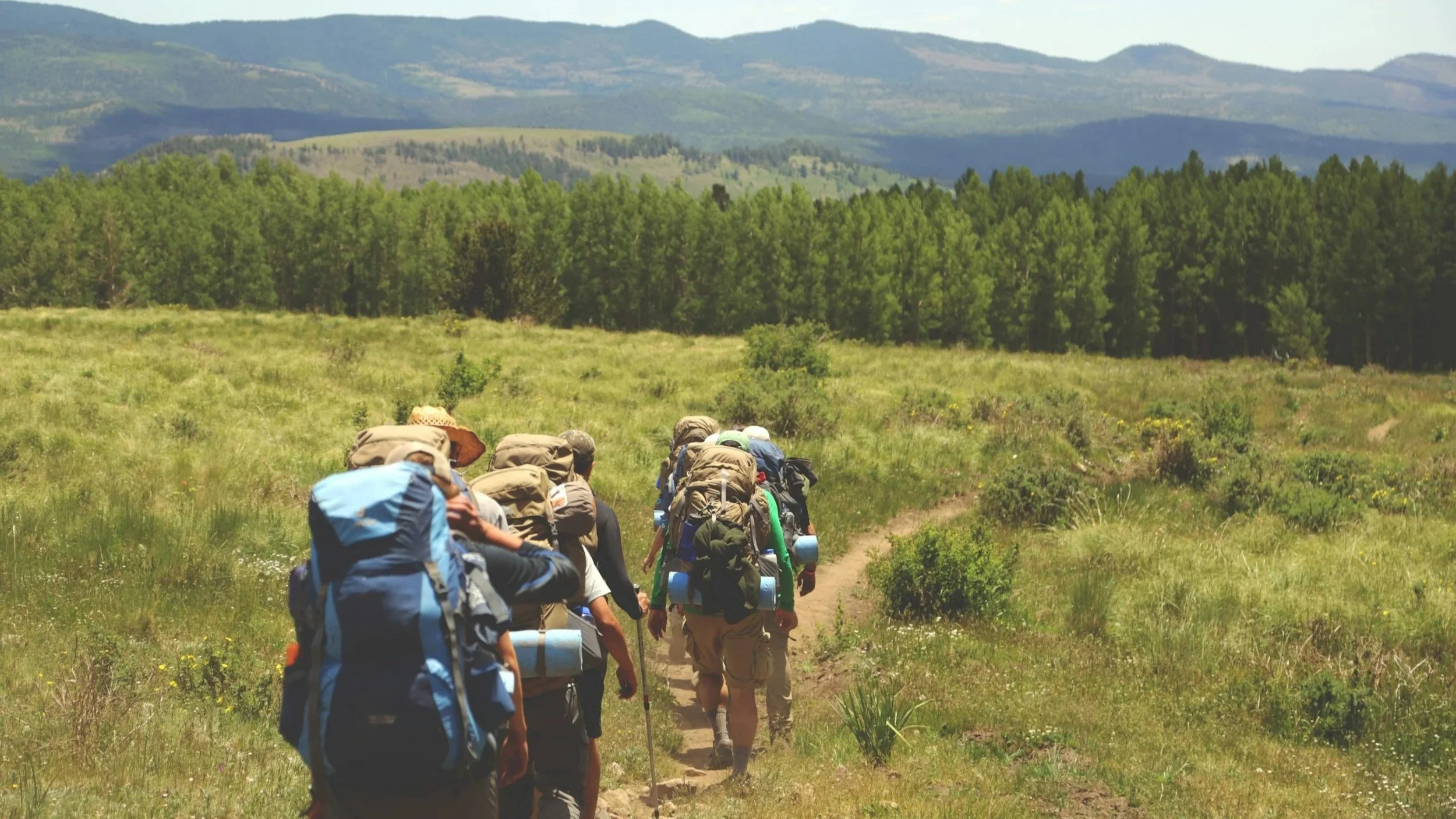 Group of hikers walking on a trail through grassy and wooded landscape with mountains in the distance.