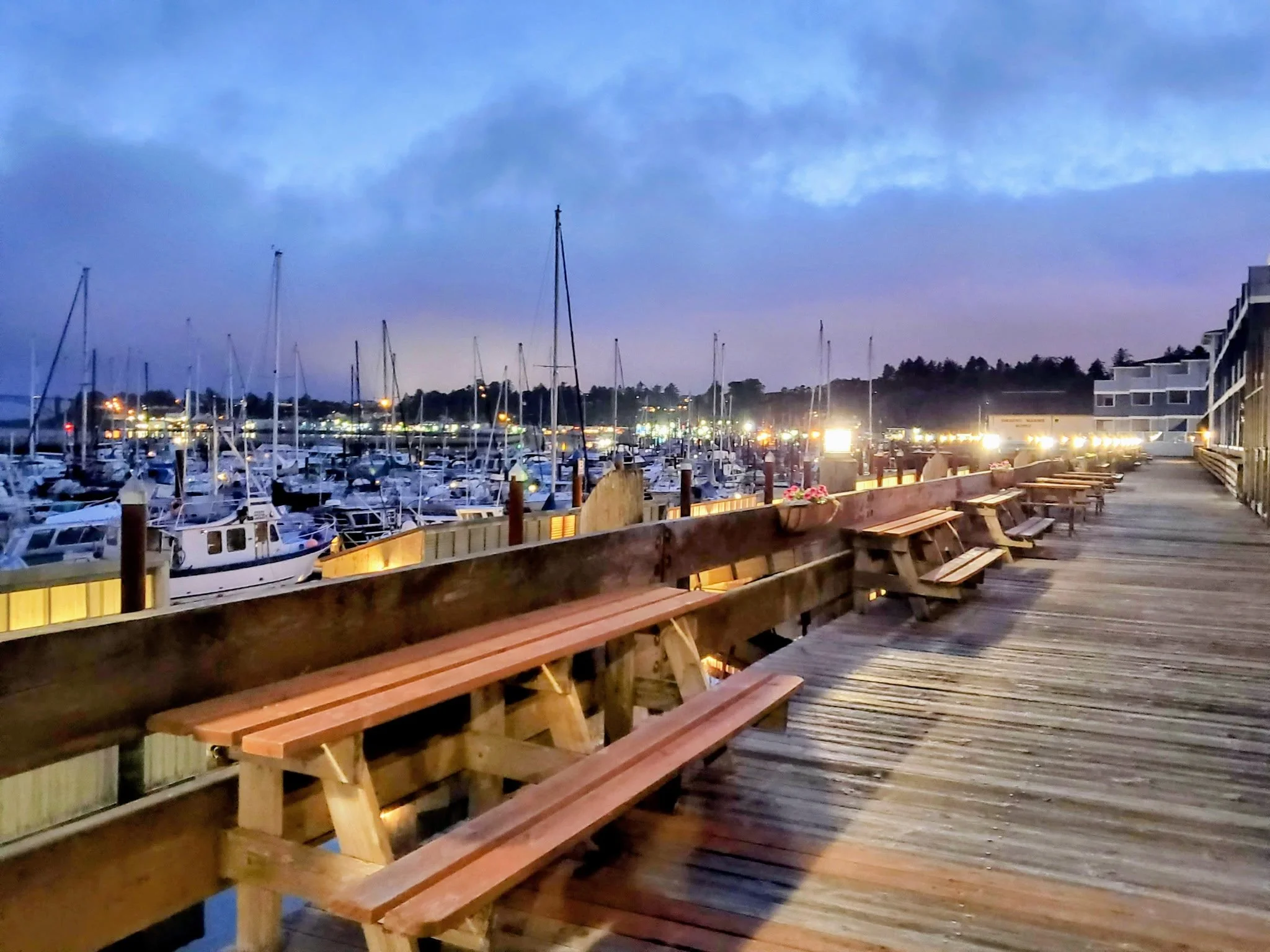 Dusk view of a marina with numerous docked sailboats, a wooden pier with benches, and a row of lights along the water's edge and walkway.