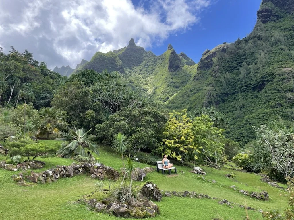 A meditator in touch with the earth, the sky, higher realms and in deep meditation to awaken psychic and shamanic powers