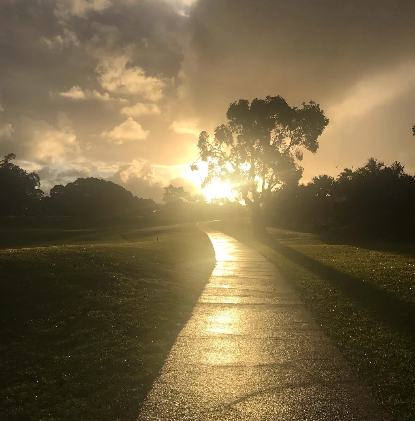 Somatic Energy Healing