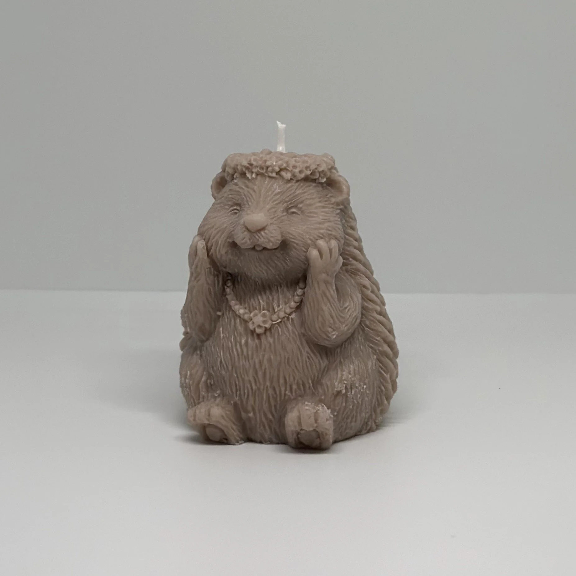 Hedgehog Friend - Mushroom