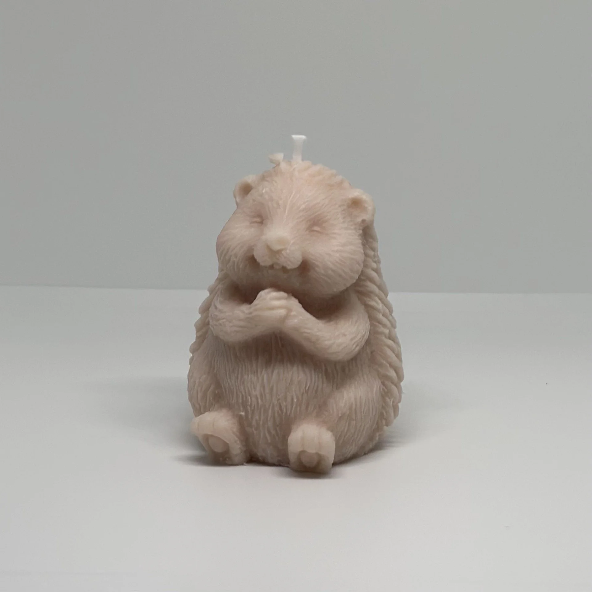 thumbnail_image1 (2).jpg