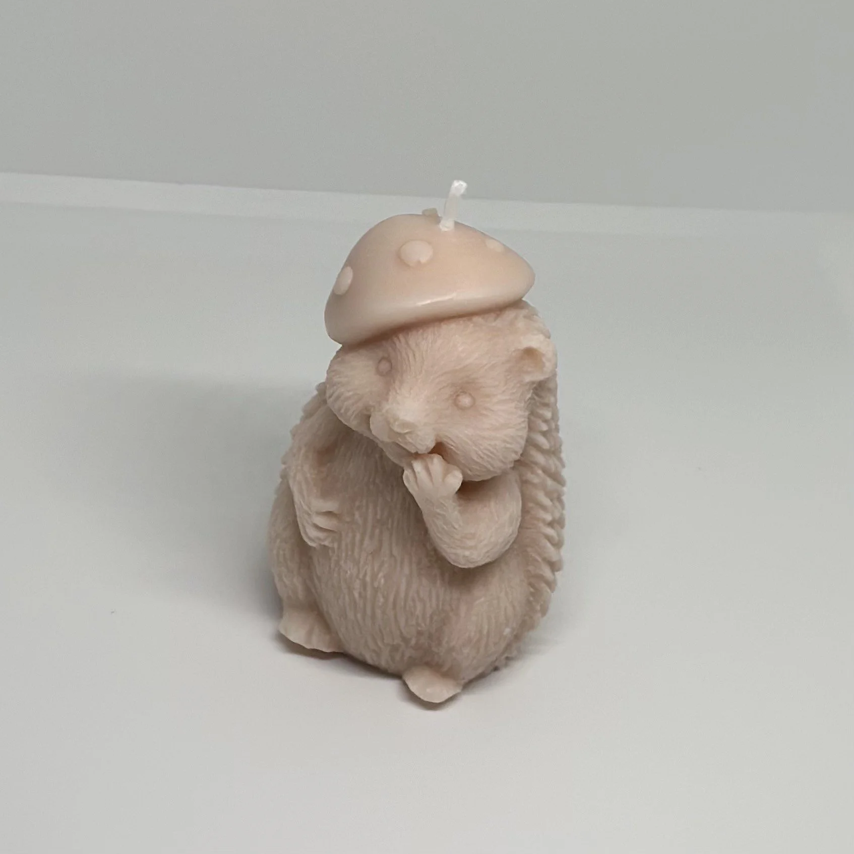 thumbnail_image5.jpg