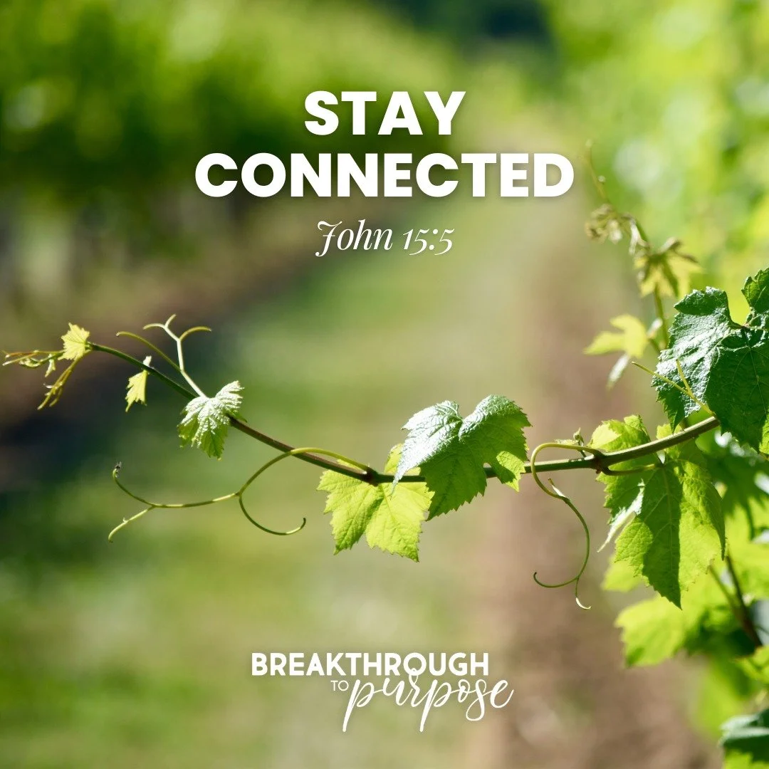 Fruit doesn&rsquo;t come from striving. It comes from staying connected.

&ldquo;Remain in me.&rdquo; &mdash; John 15:5

Our next cohort of God&rsquo;s Design for Your Life begins February 10. If you&rsquo;re ready to stop trying harder and start liv
