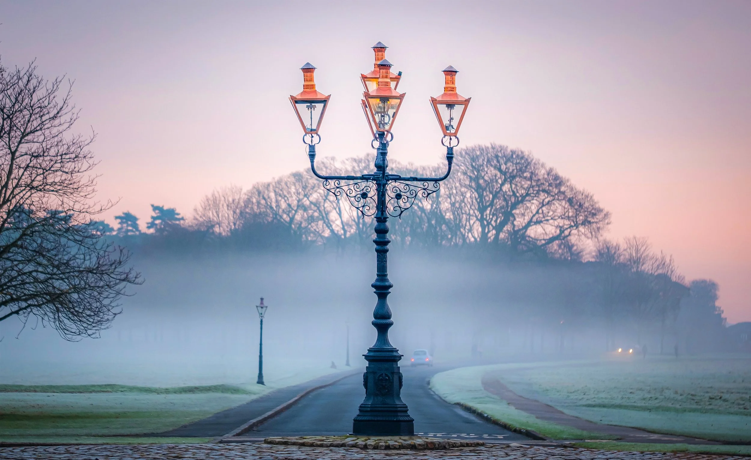 Winter Lamps, Phoenix Park, Dublin