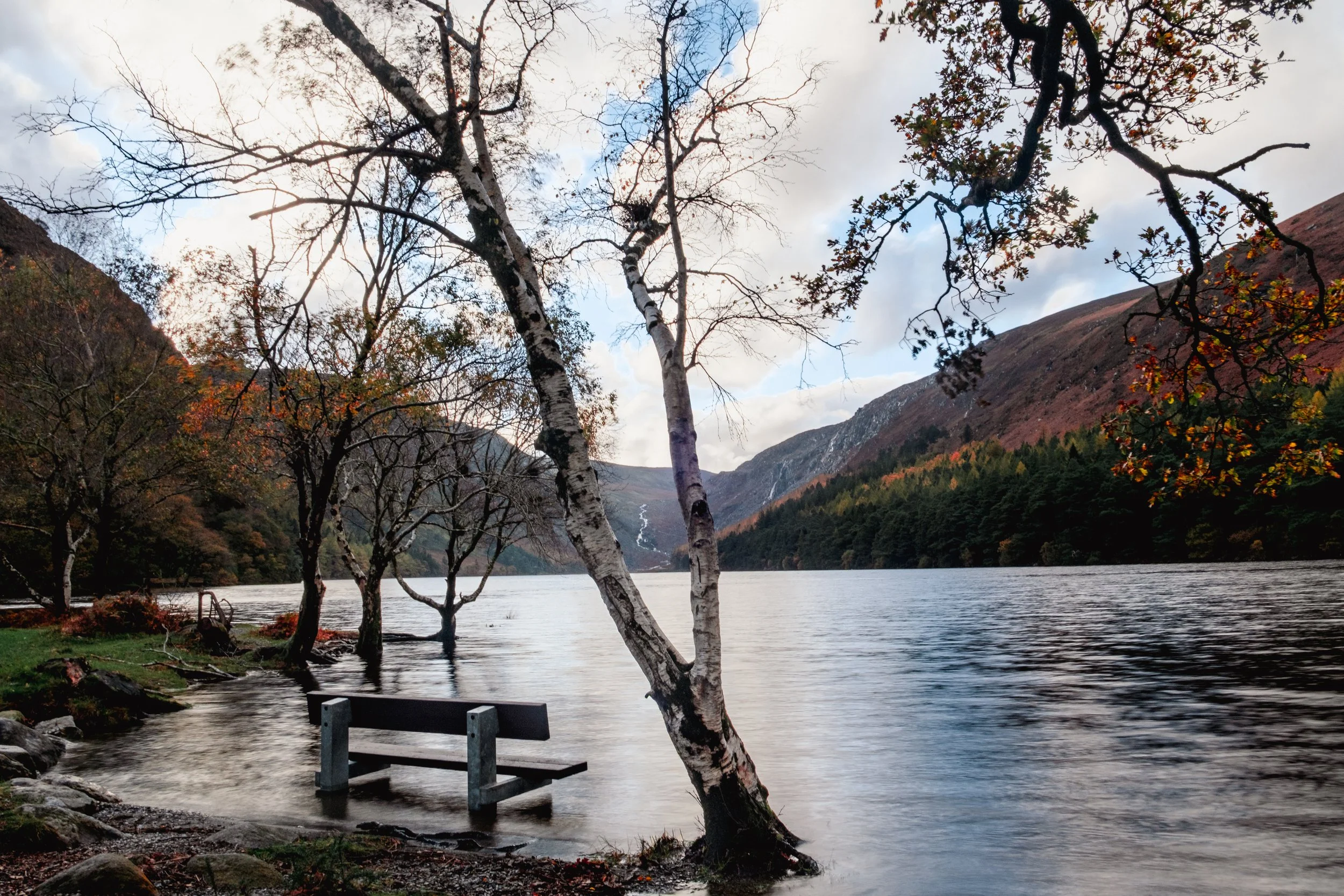 October 2025_Glendalough98.jpg