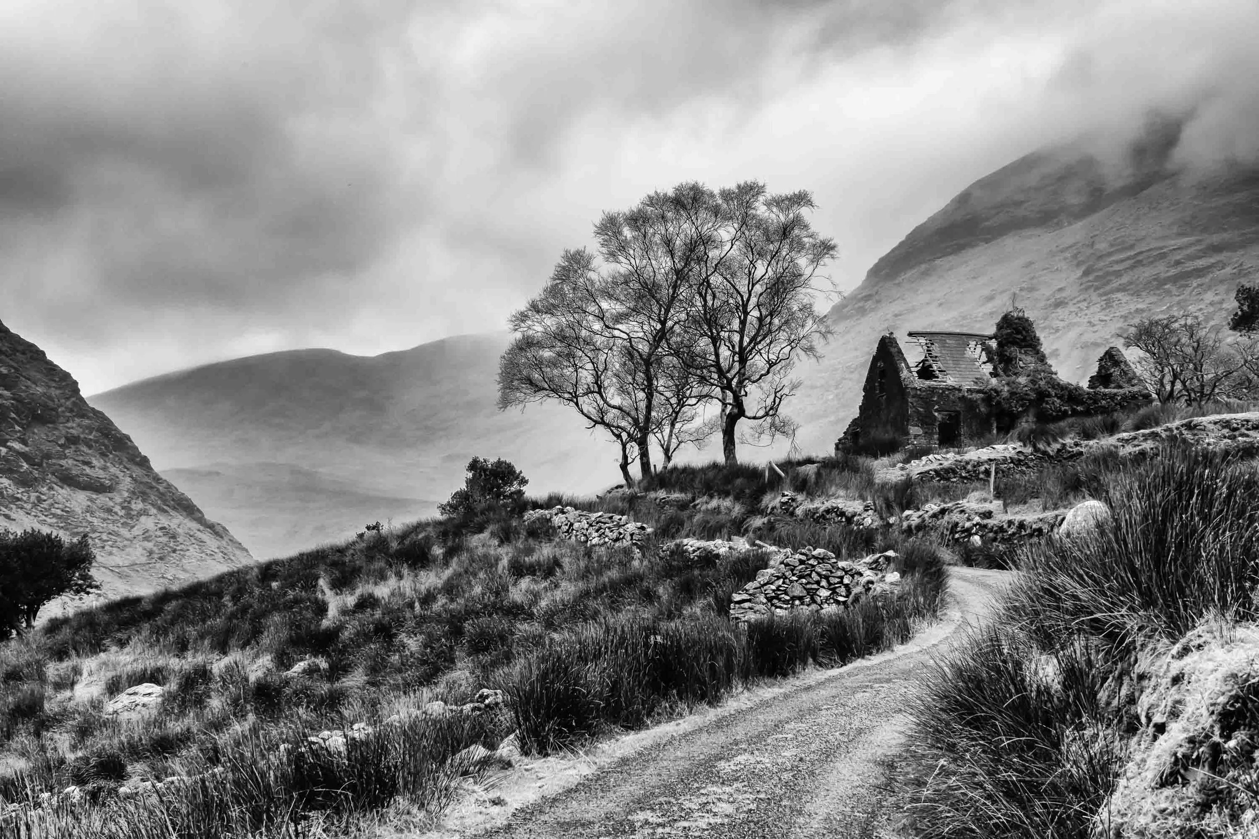 Molly's Cottage-Advanced Open_SB100.jpg