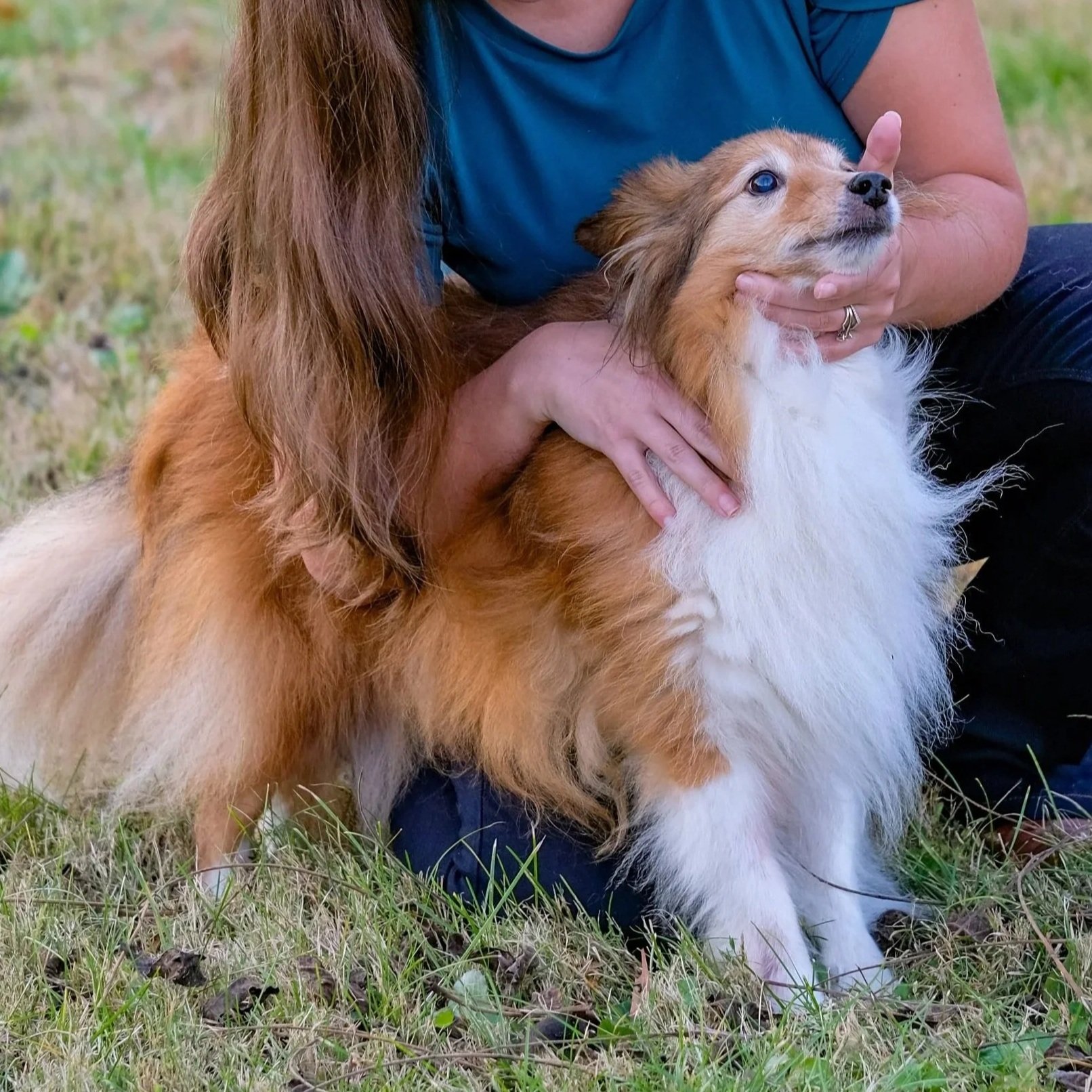 Scenic view of snow-capped mountains in the background with a modern building on a grassy hill in the foreground