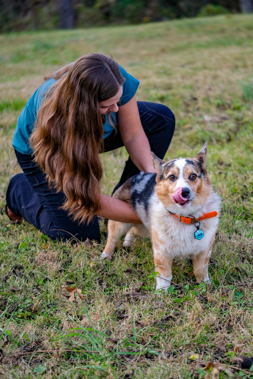 Dr. Jessica Tyndall of Bouncing Back Chiropractic giving an adjustment to a canine patient during a mobile chiropractic session.