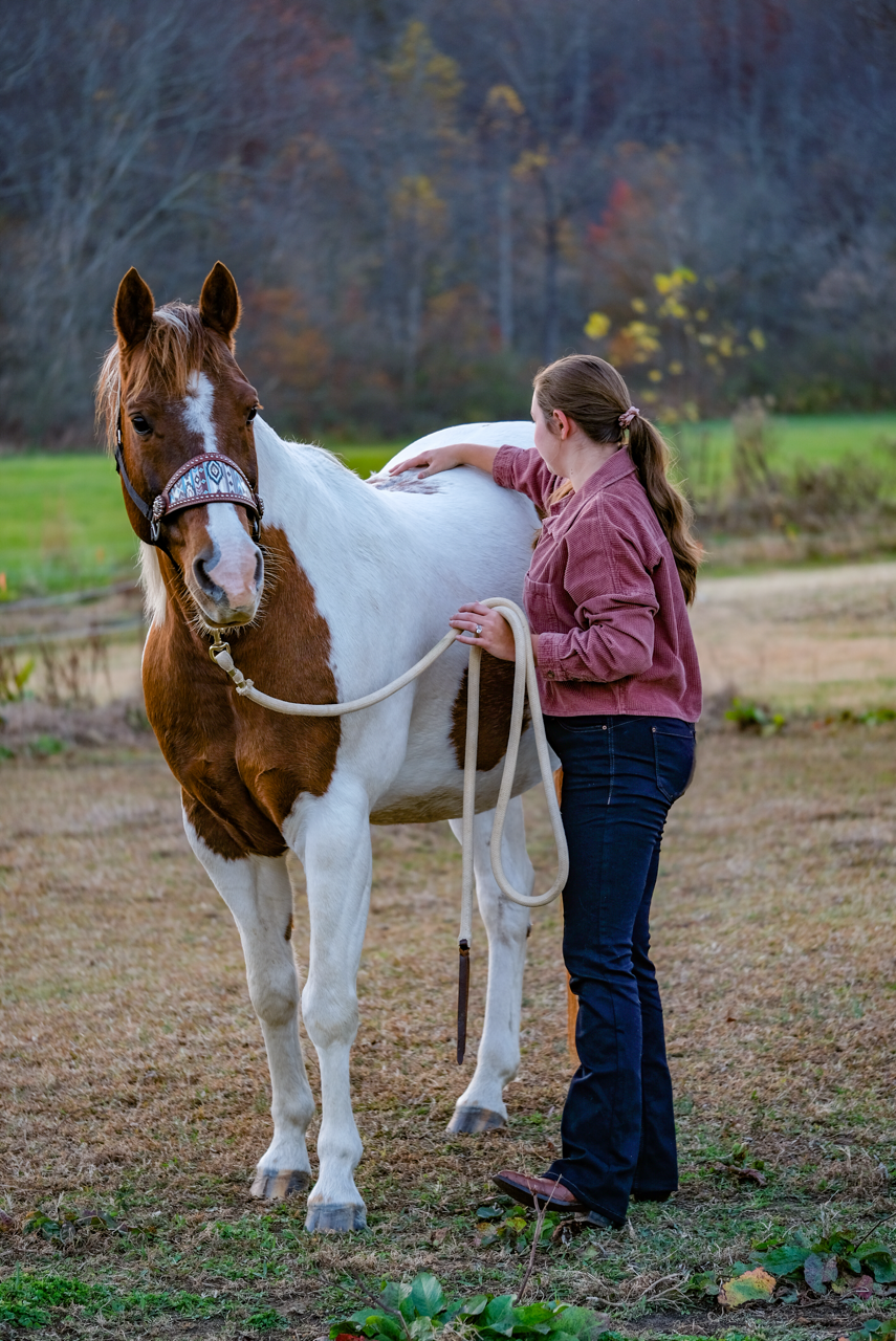 A white and brown horse receiving chiropractic care from Dr. Jessica Tyndall during a mobile chiropractic session.