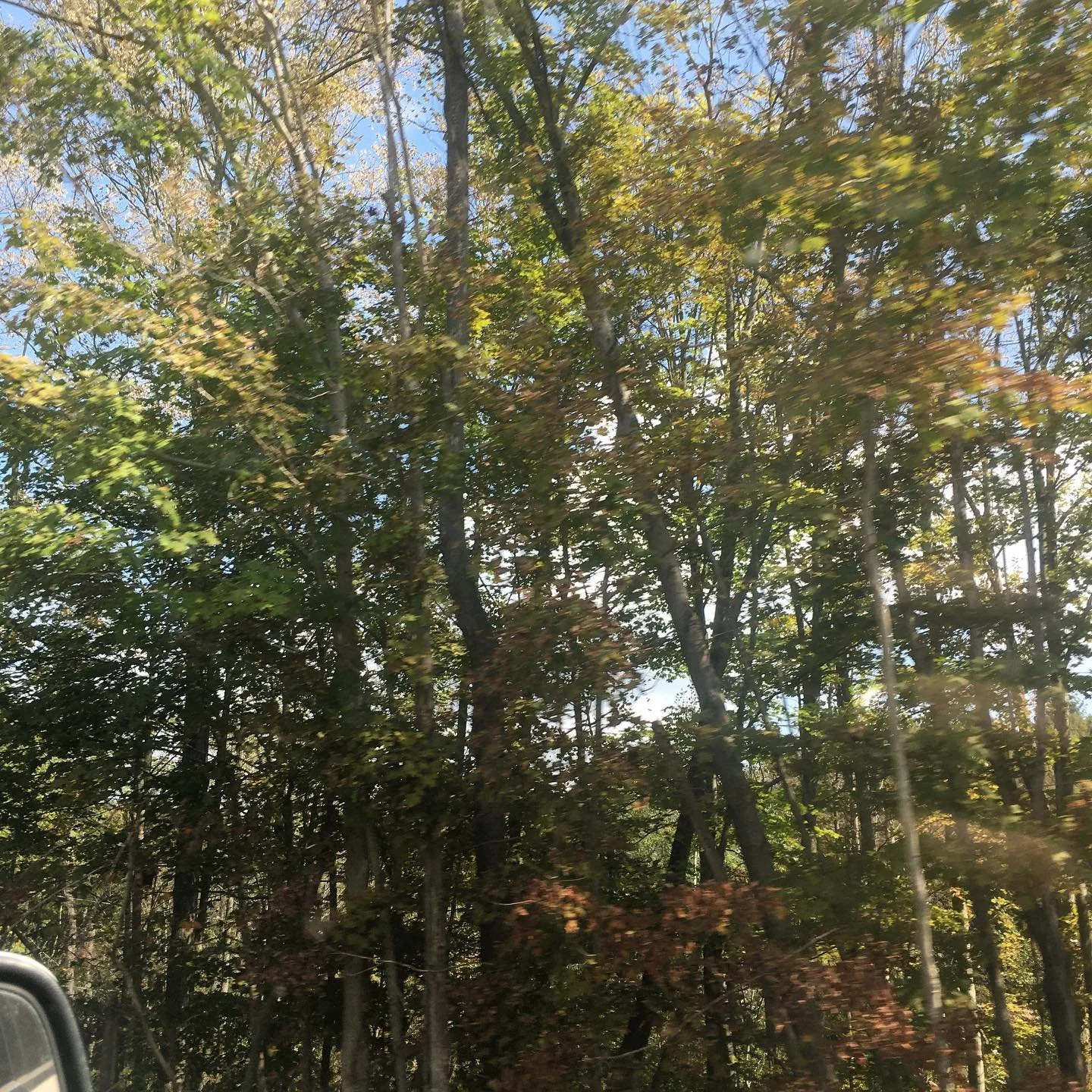 Hard to believe it&rsquo;s almost fall already 😳