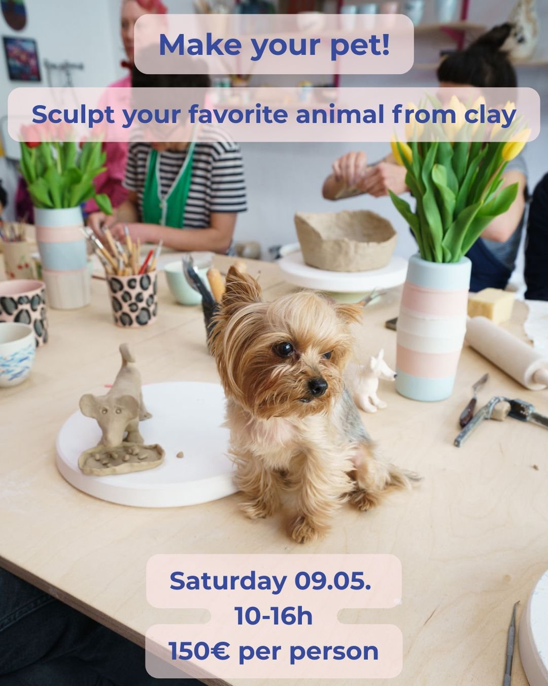 Make your pet! - Modelliere deinen Haustier