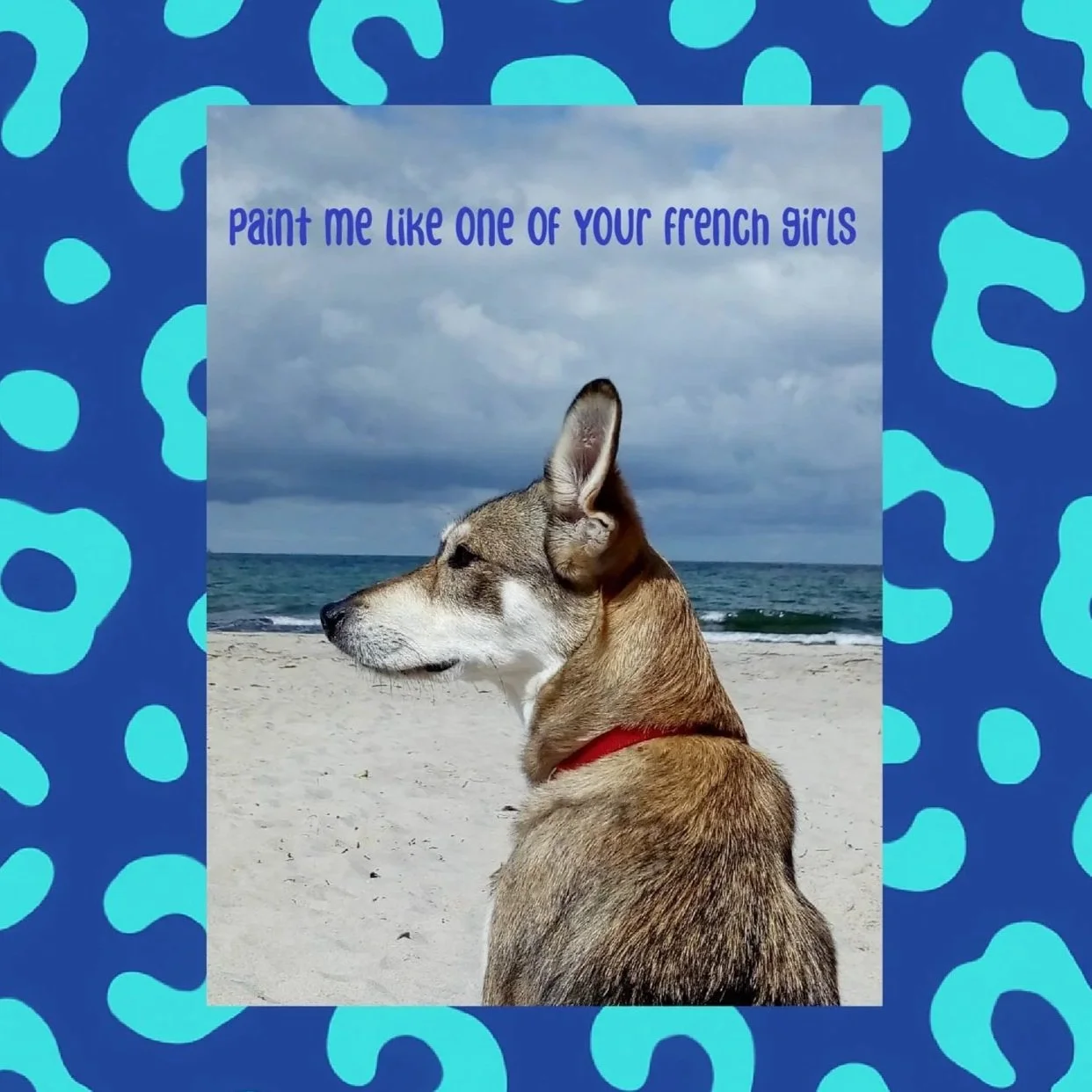 Make your pet! - Modelliere deinen Haustier