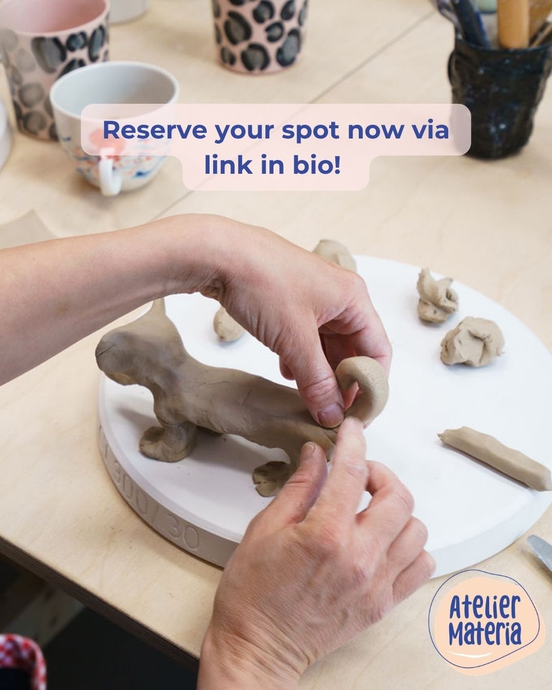 Make your own pet ! Sculpt your pet from clay(3).jpg