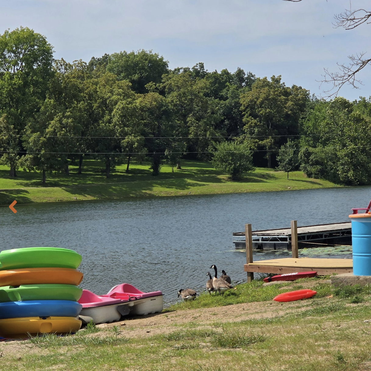 Kayaks and canoes stacked near a lakeside, with geese walking on the grass, a dock extending into the water, trees across the lake, and a blue barrel and red float nearby.