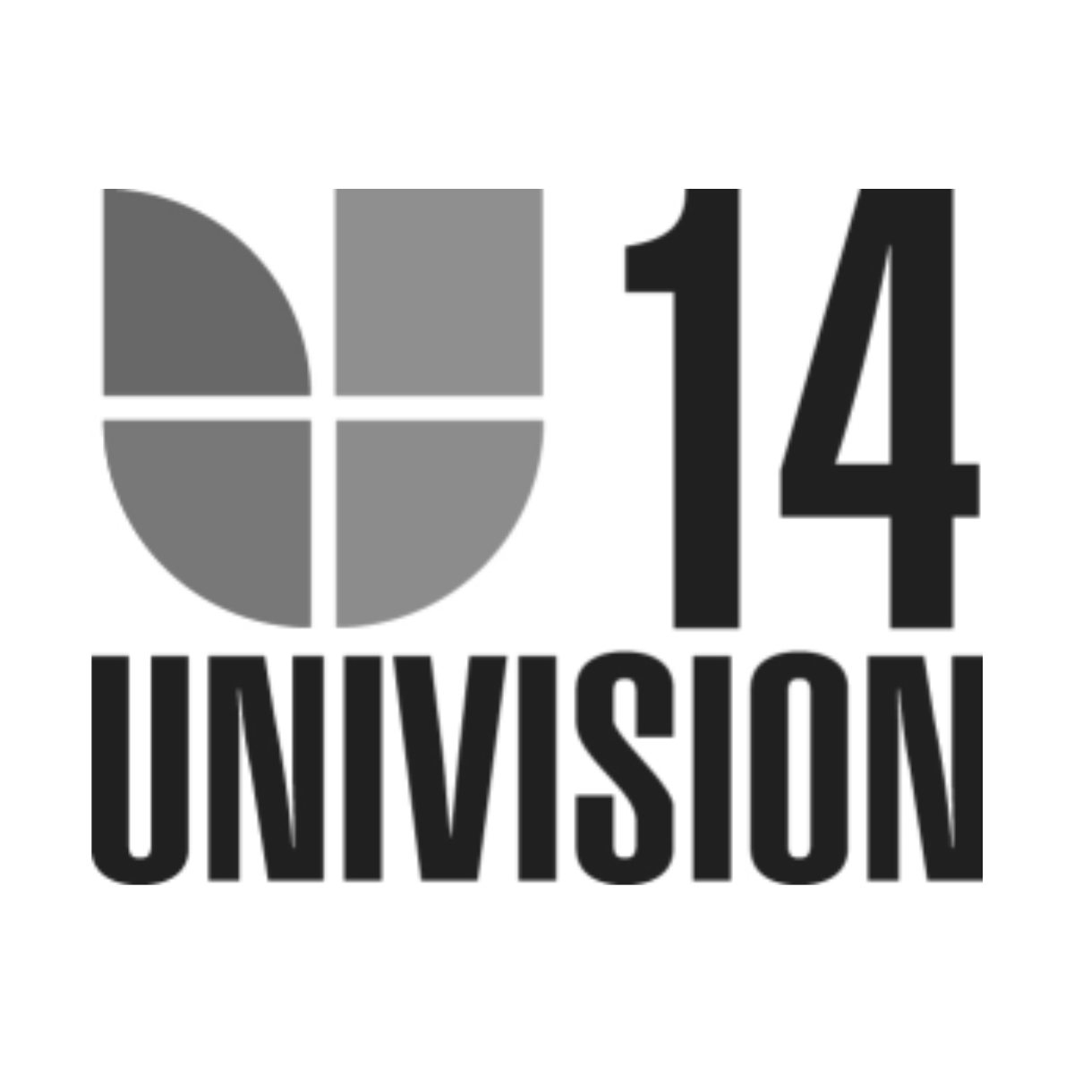 Univision 14 covers Distance Learning Lawsuit