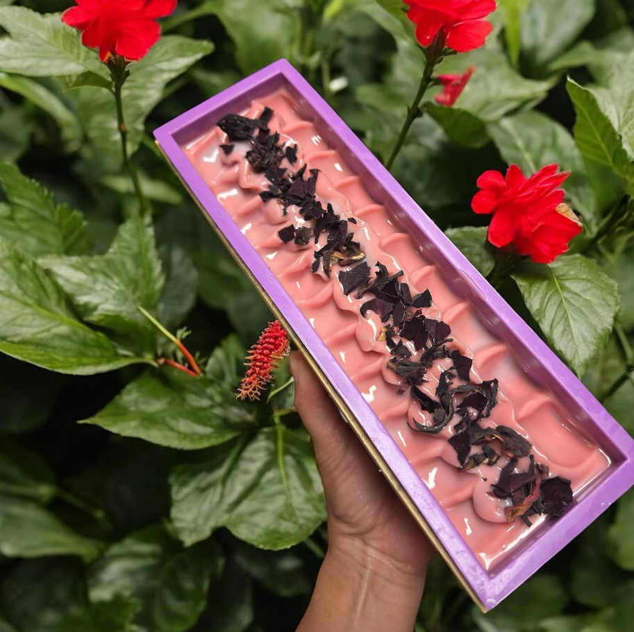 Pink ice cream bar with dark chocolate shavings in a purple box, being held against lush green plants with red flowers.